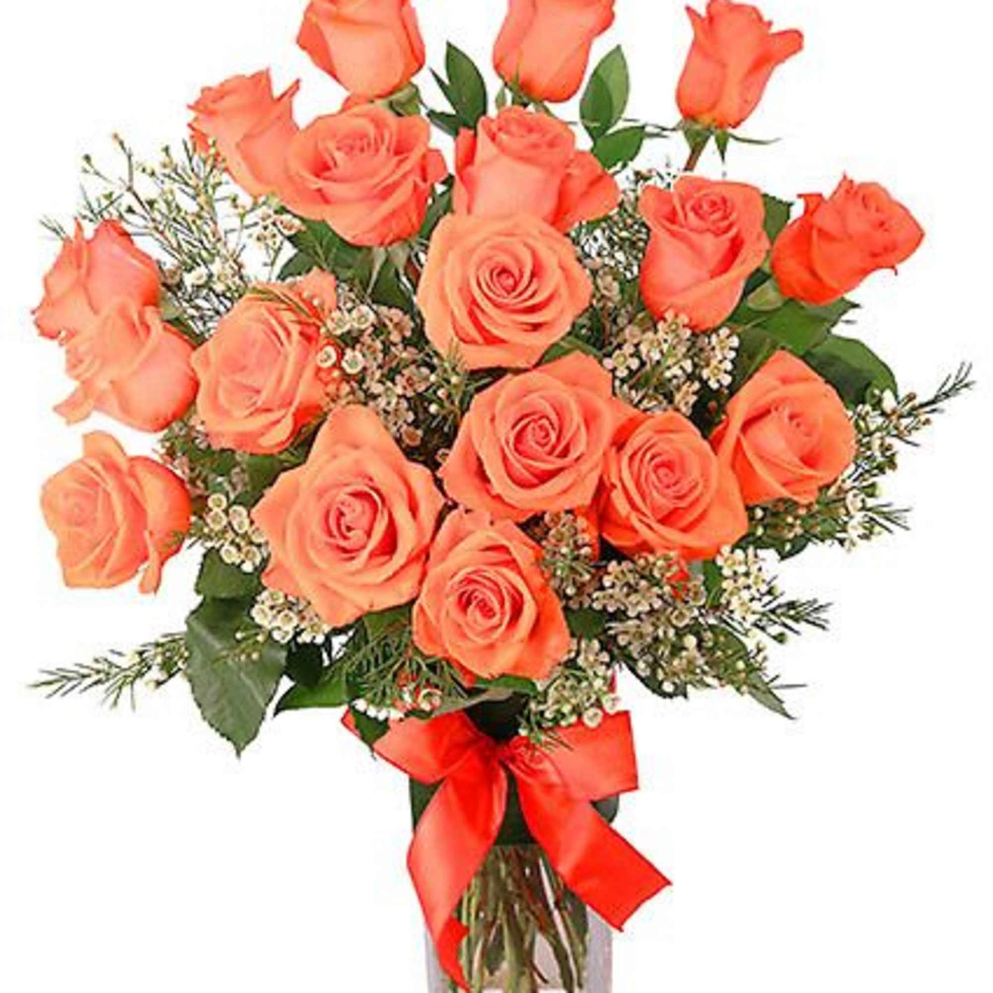 Roses have never looked so good! With 18 glorious coral roses, graceful