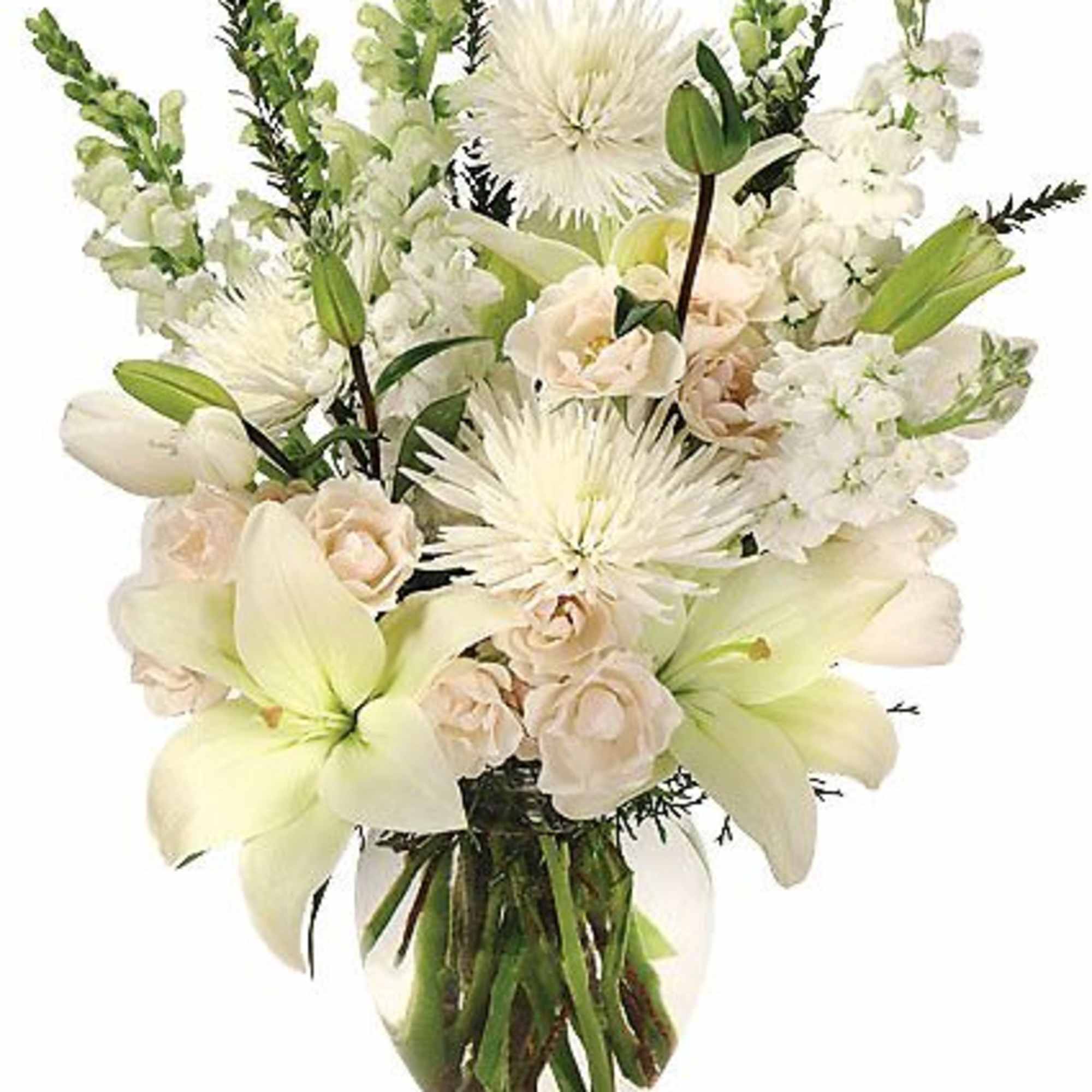 This one-of-a-kind arrangement is pure heaven! With crisp white stock, gorgeous spider