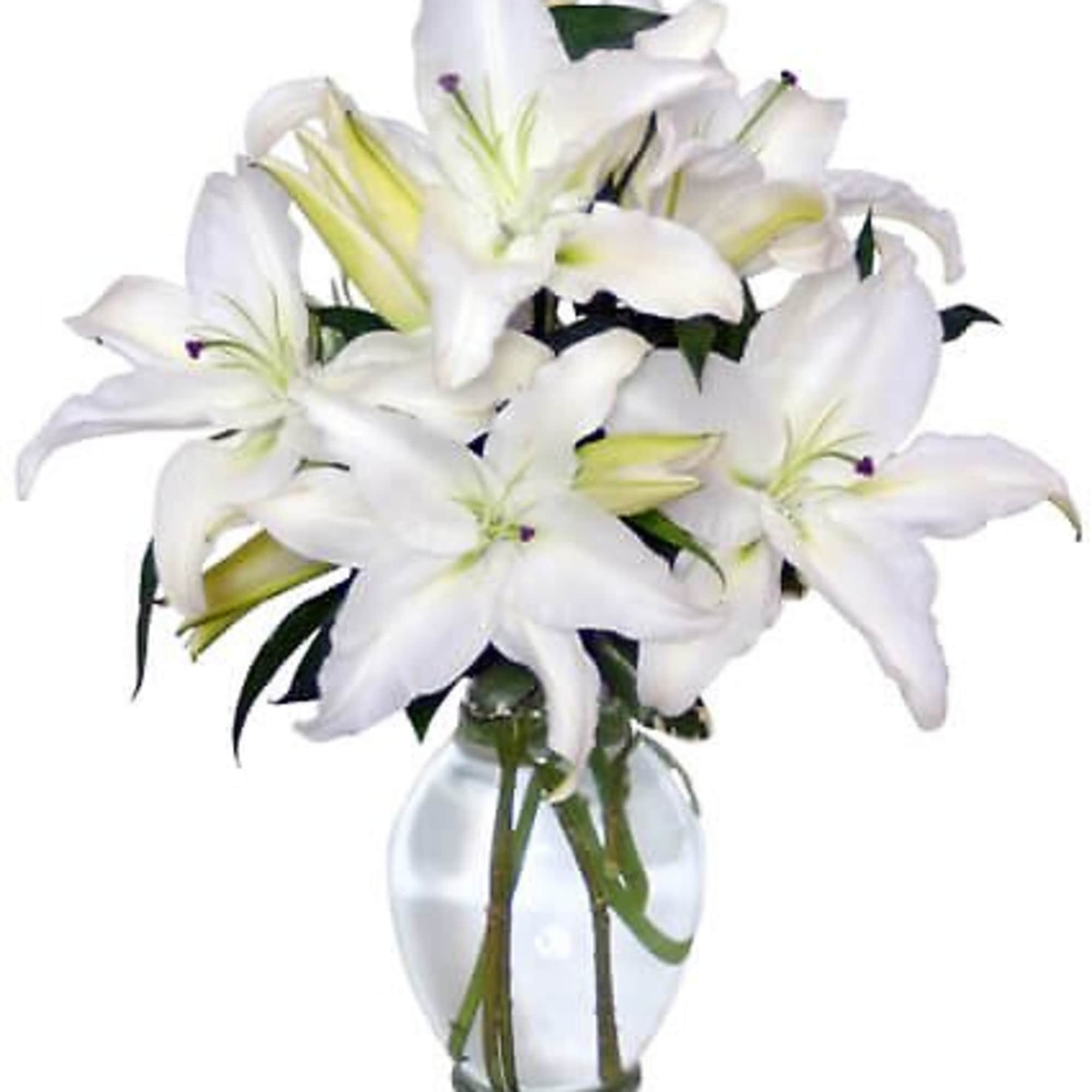 This pure white bouquet of Casa Blanca lilies makes an elegant statement