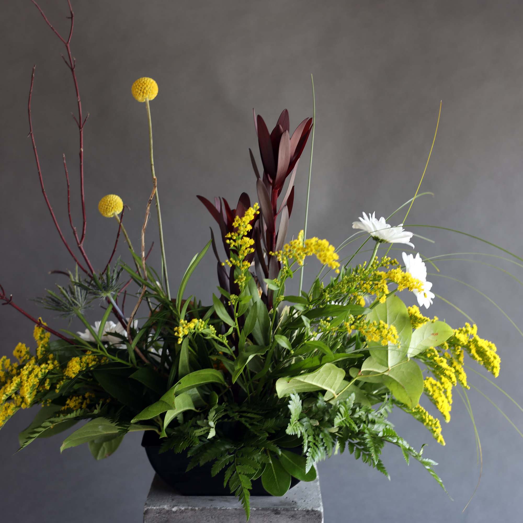 Modern floral arrangement with yellow blooms, white daisies, and burgundy foliage in a black container