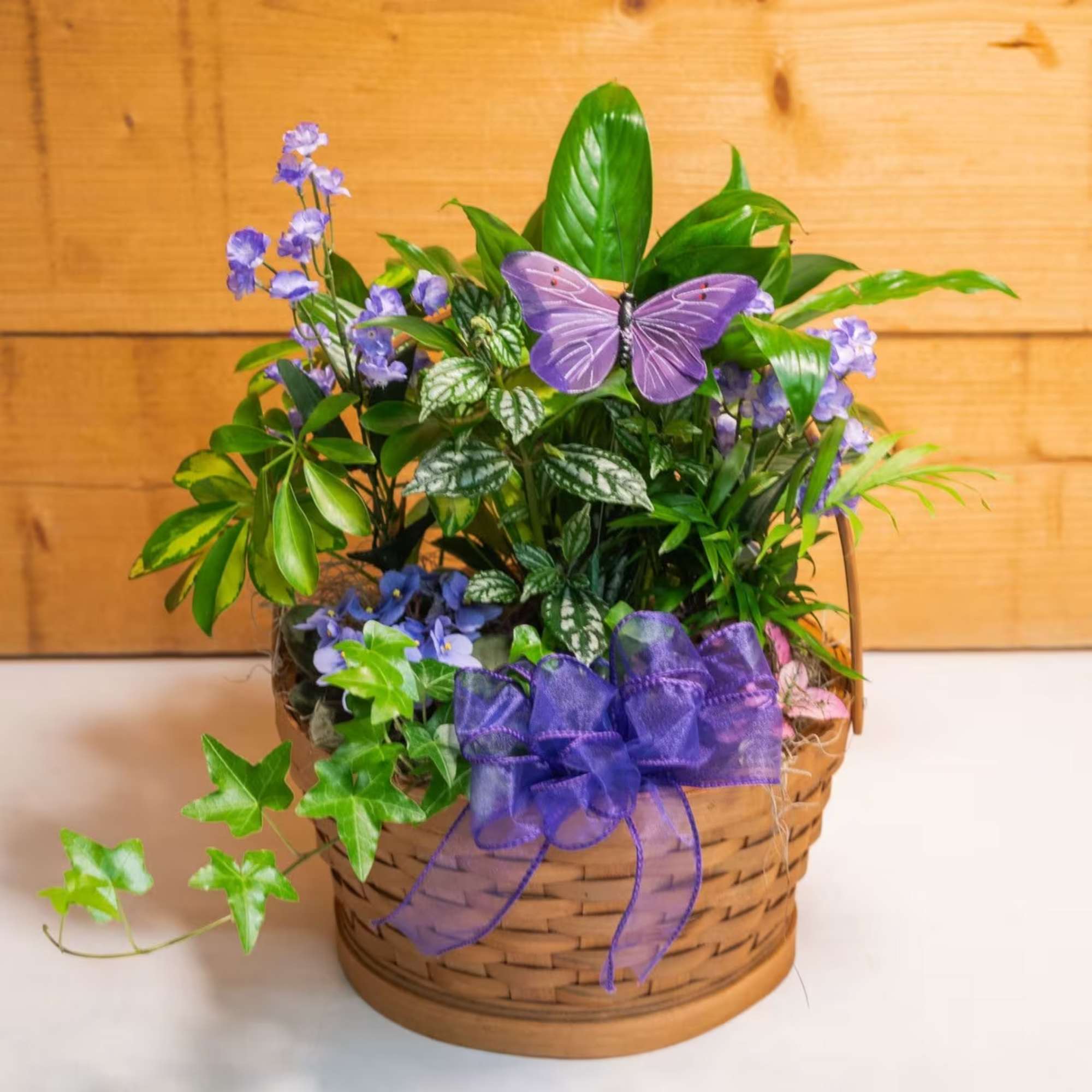 Potted plant arrangement in a wicker basket with a purple ribbon and butterfly decoration
