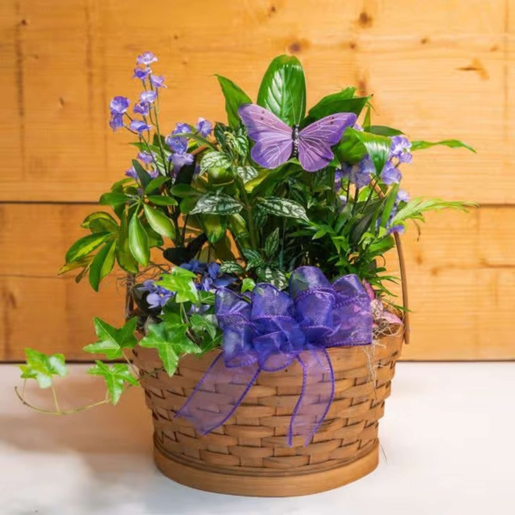 Potted green plant arrangement with purple flowers and a butterfly decoration in a basket