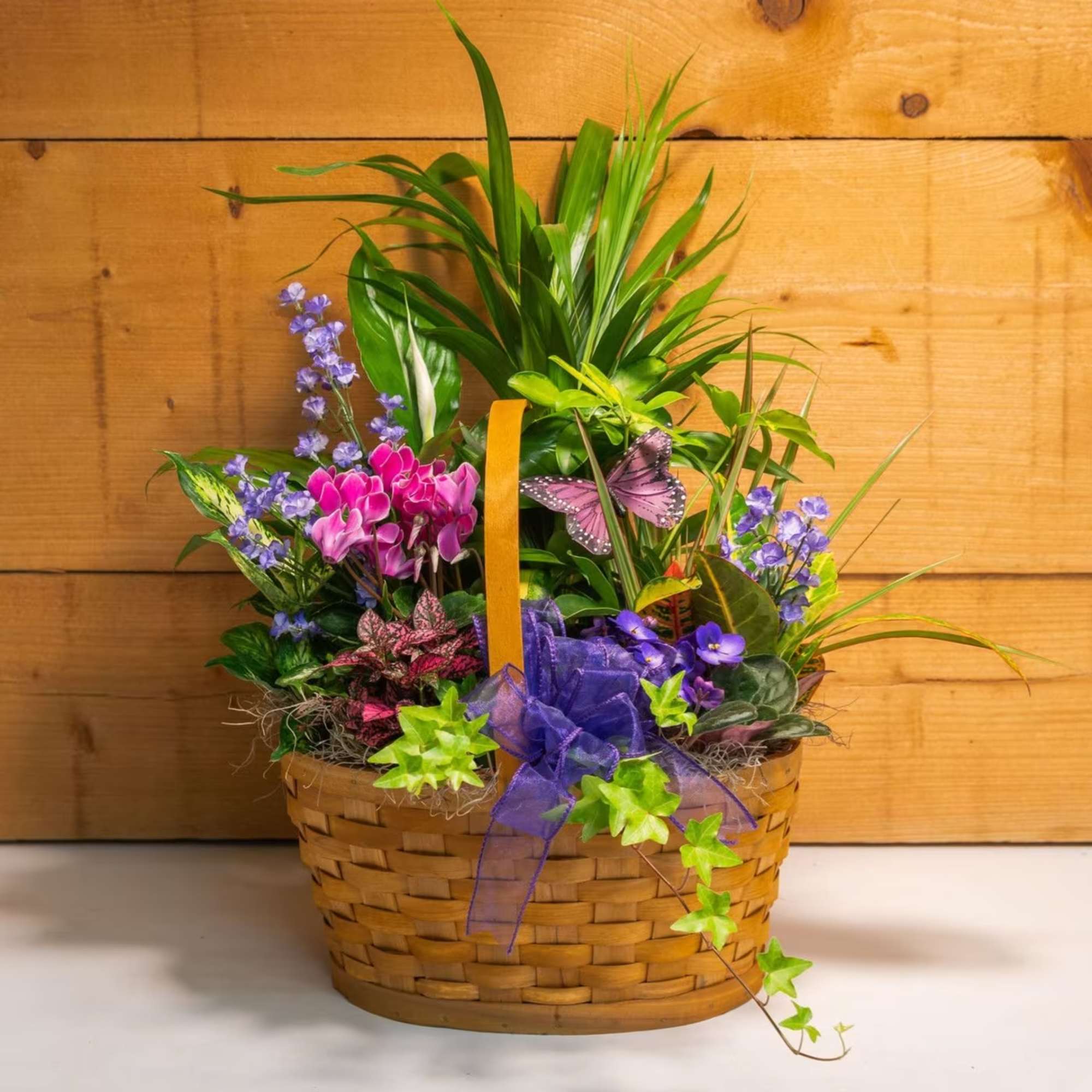 Mixed potted plant arrangement in a woven basket with purple flowers and a ribbon