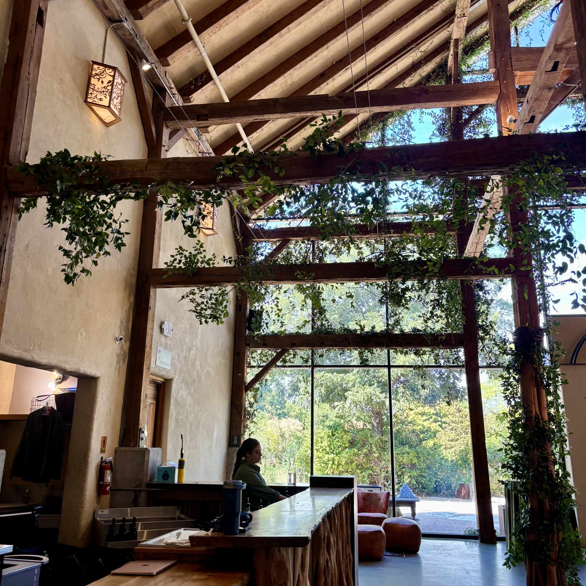 Elevated Botanicals: Custom Greenery Installations
Transform your space from the ground up&mdash;or from
