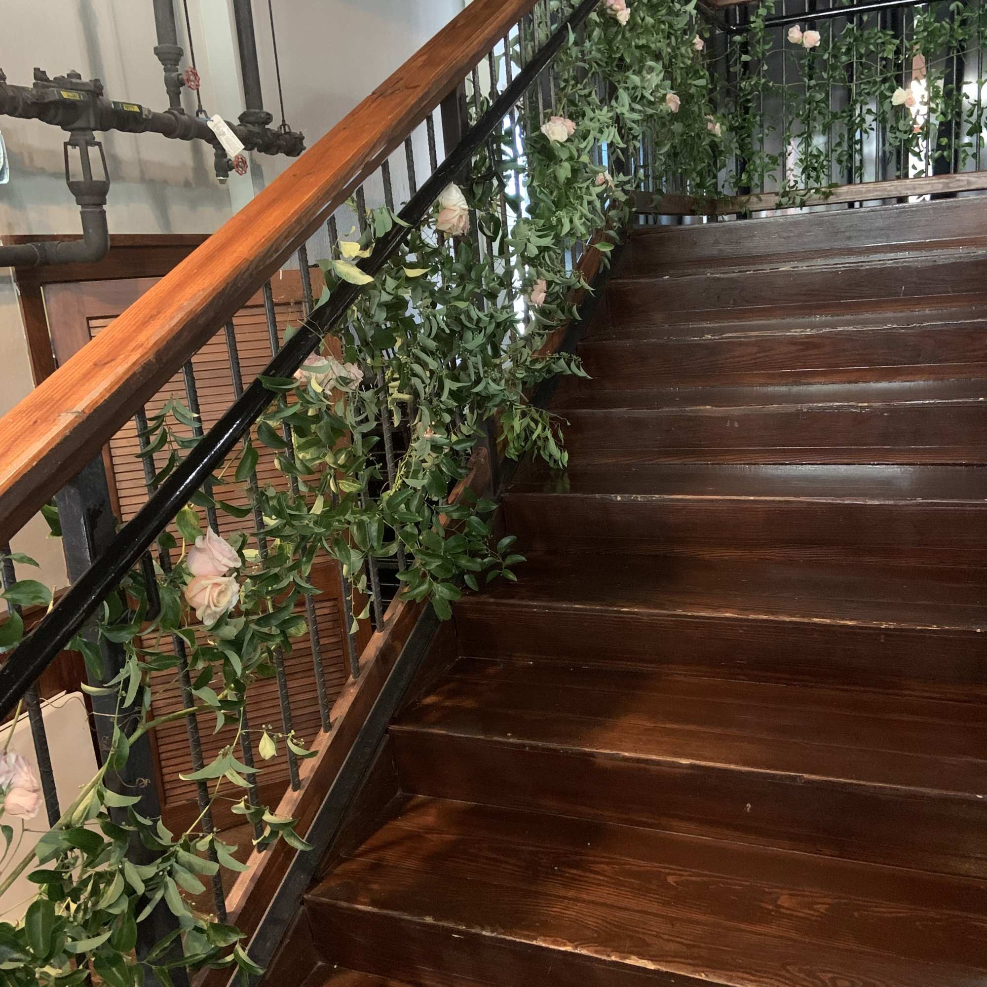 Elevated Botanicals: Custom Greenery Installations
Transform your space from the ground up&mdash;or from