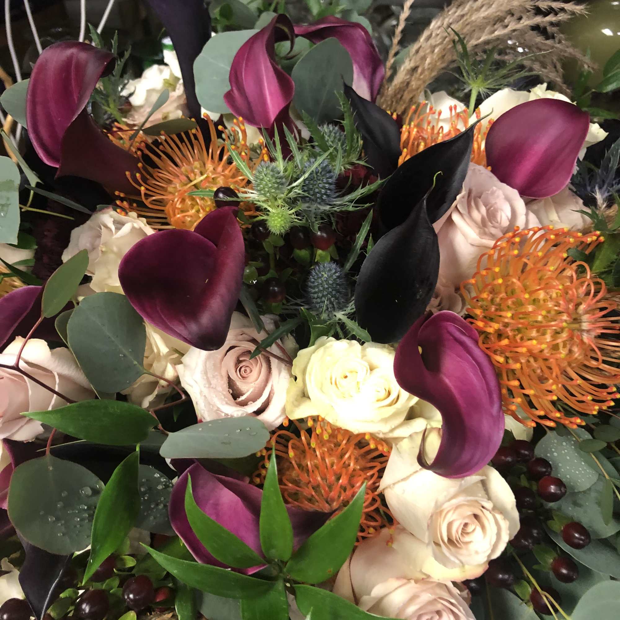Dramatic bouquet with dark purple calla lilies, cream roses, and orange pincushion protea.