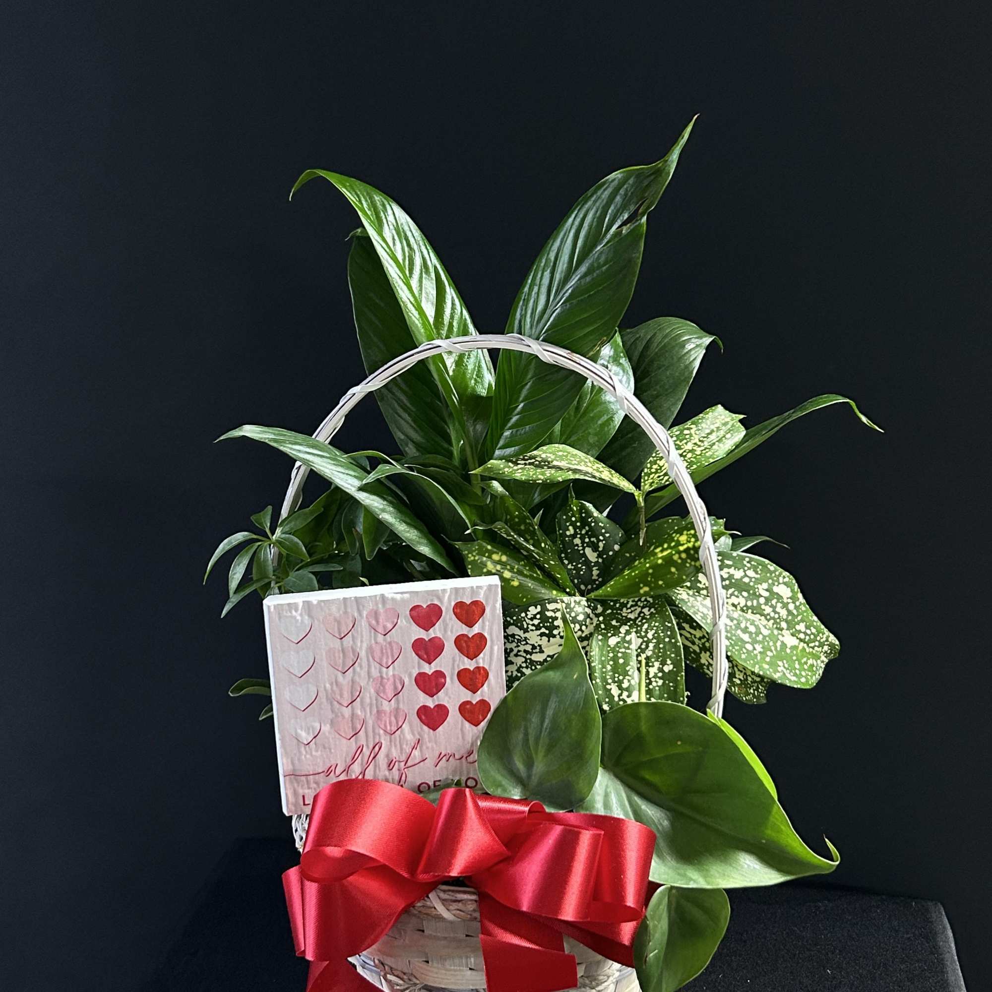 Basket of green houseplants with a red ribbon and heart card