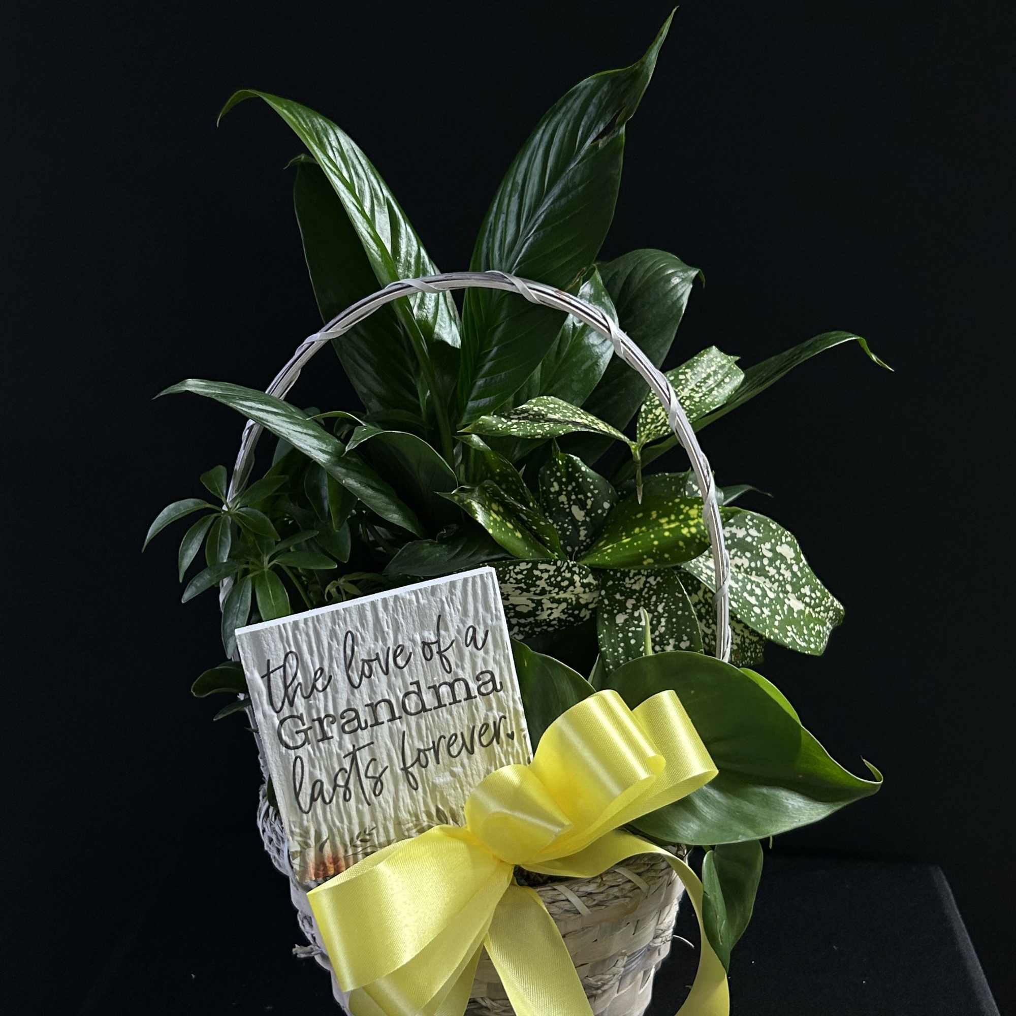 Basket of green houseplants with a yellow ribbon and a sympathy sign