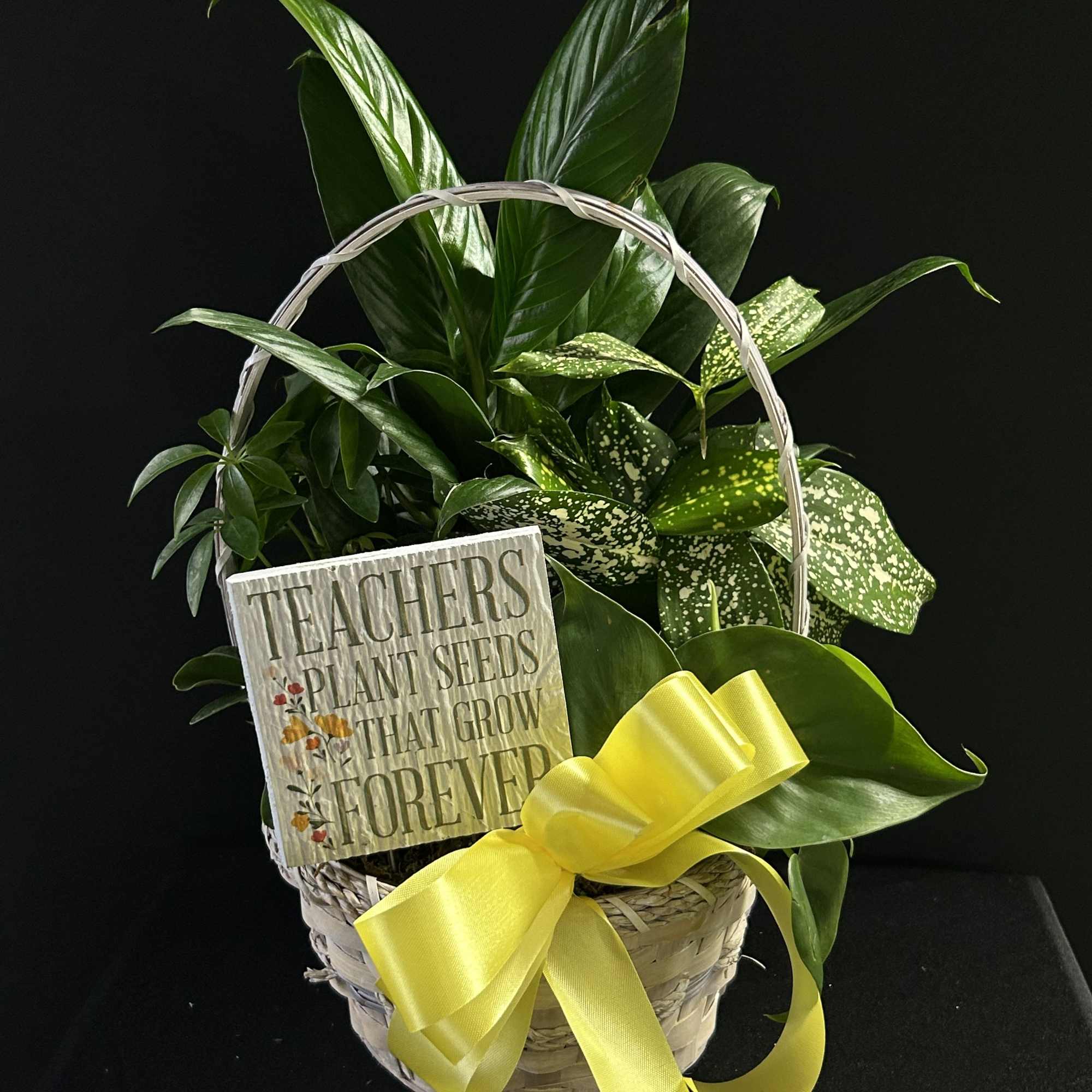 Basket of green houseplants with a yellow ribbon and teacher sign