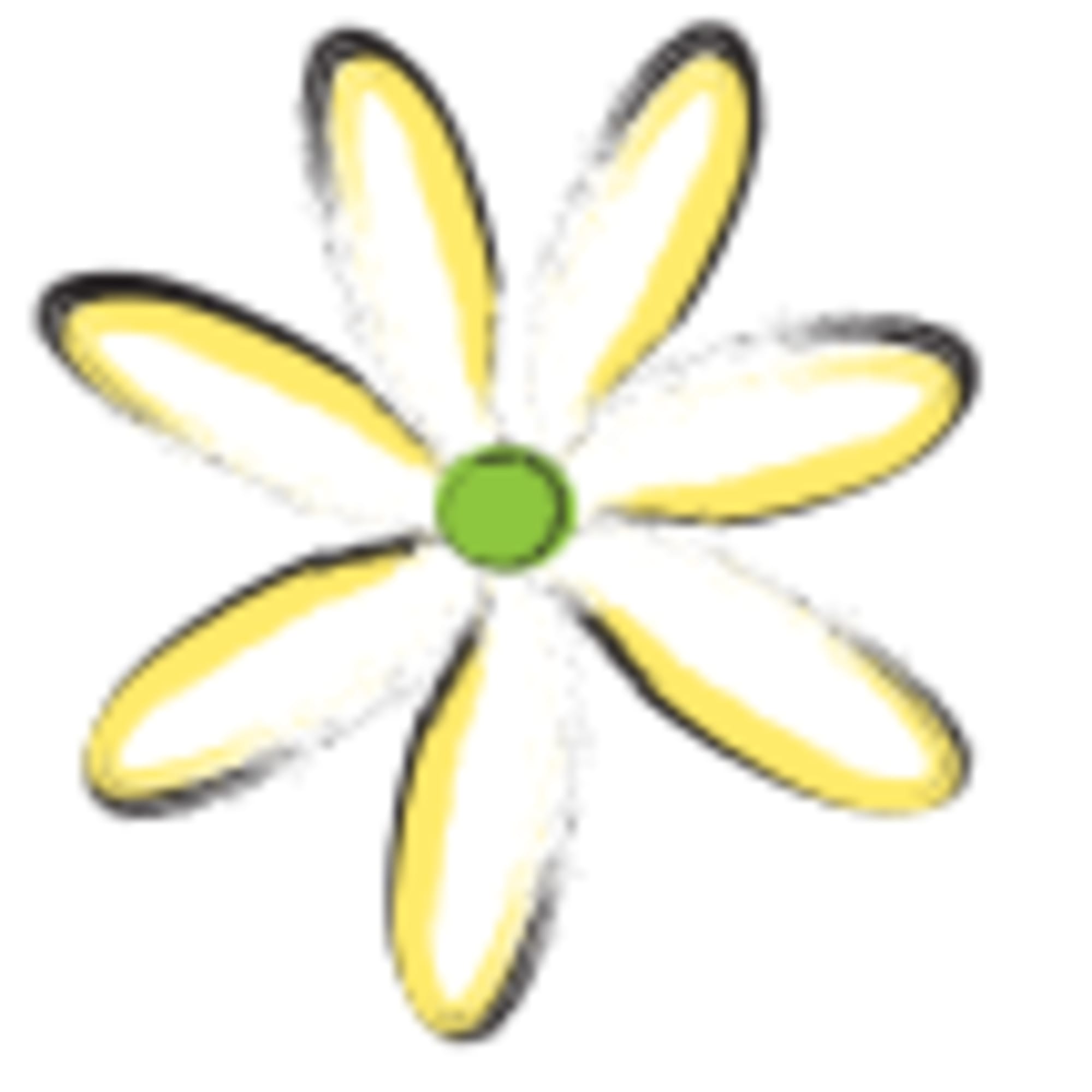 Using our freshest flowers we have in stock our talented designers will