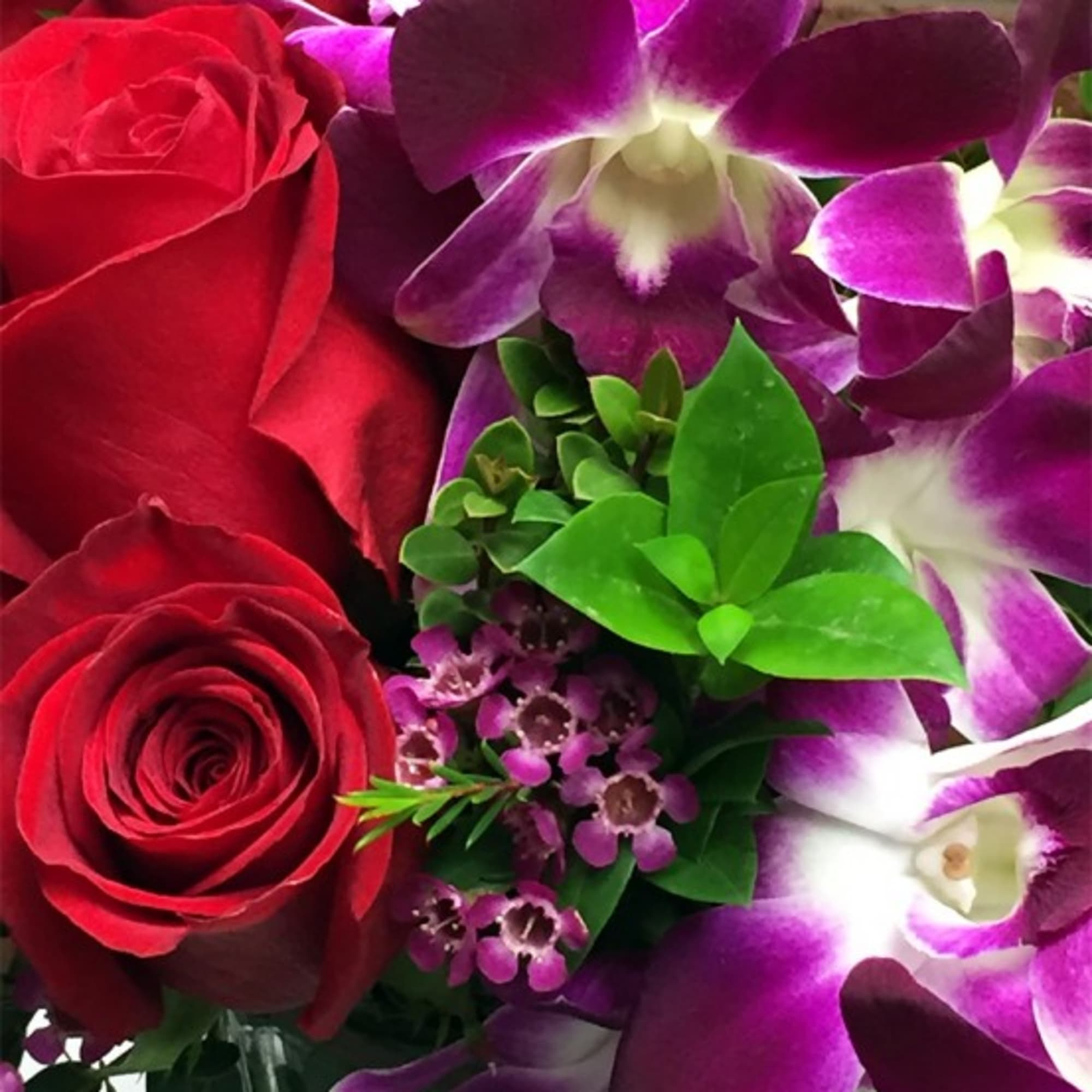 Red roses with purple orchids and small purple filler flowers