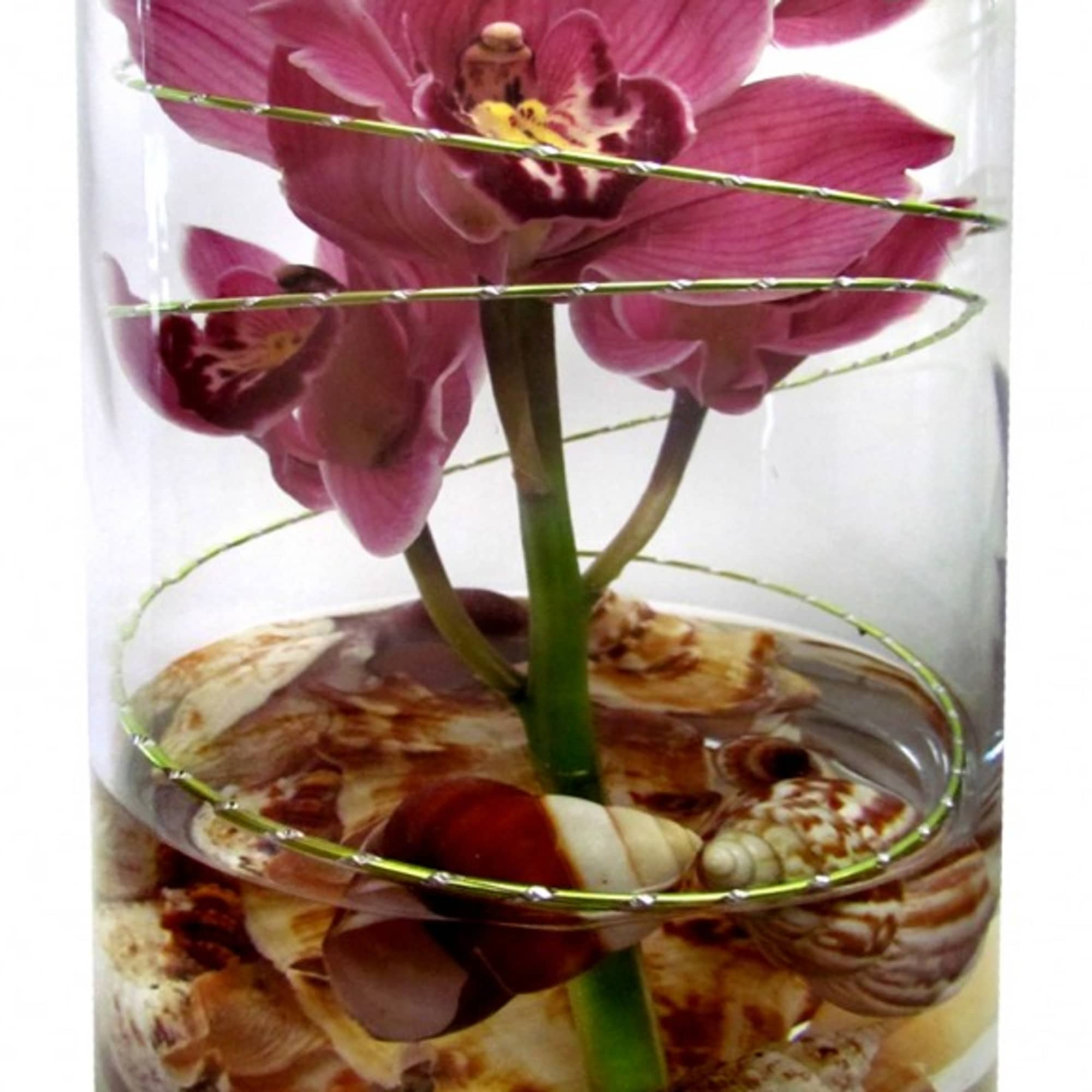 Pink orchids in a clear glass vase with decorative shells