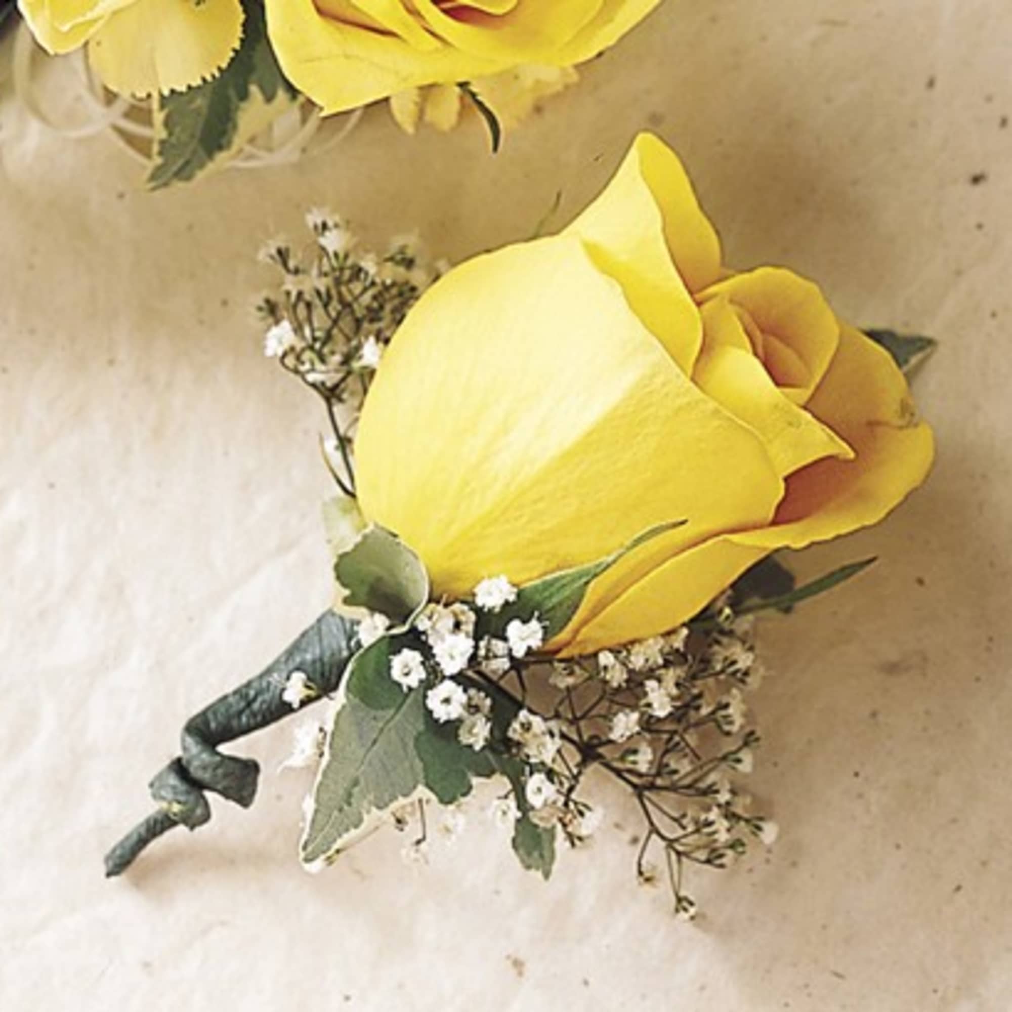 Yellow rose boutonniere with baby's breath and greenery