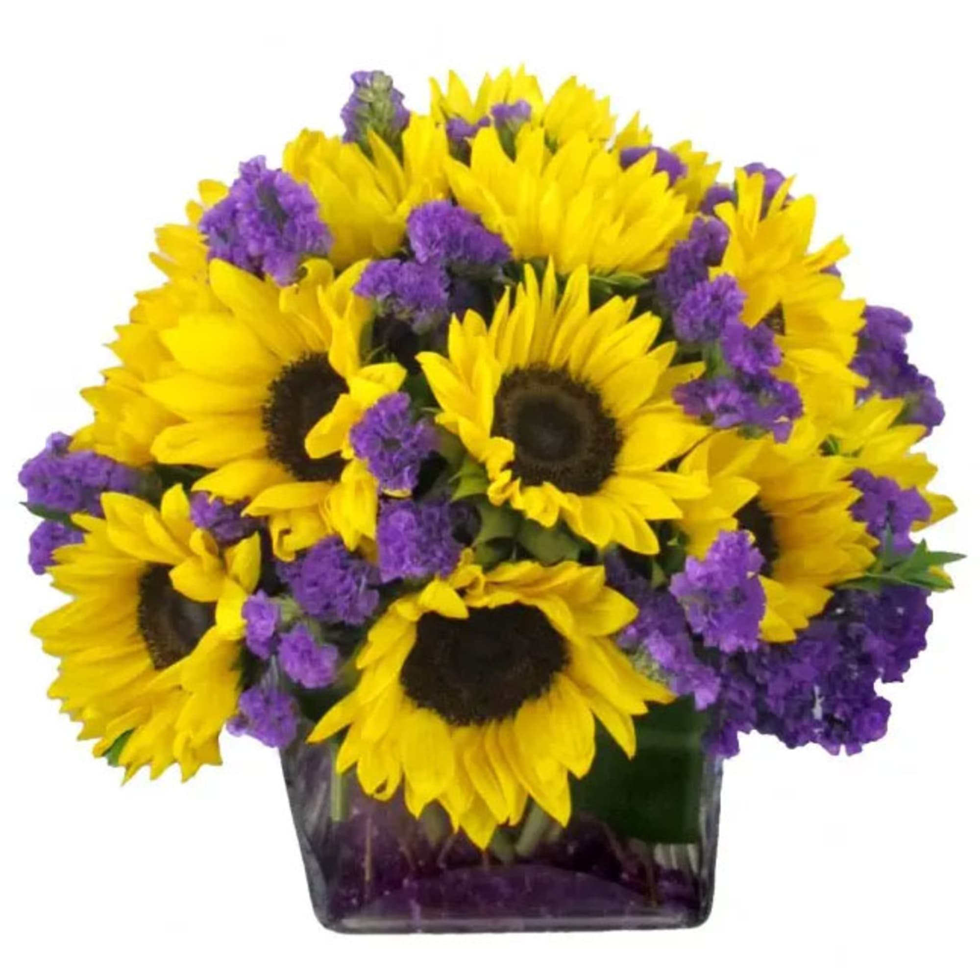 Low arrangement of yellow sunflowers and purple filler flowers in a clear glass cube vase