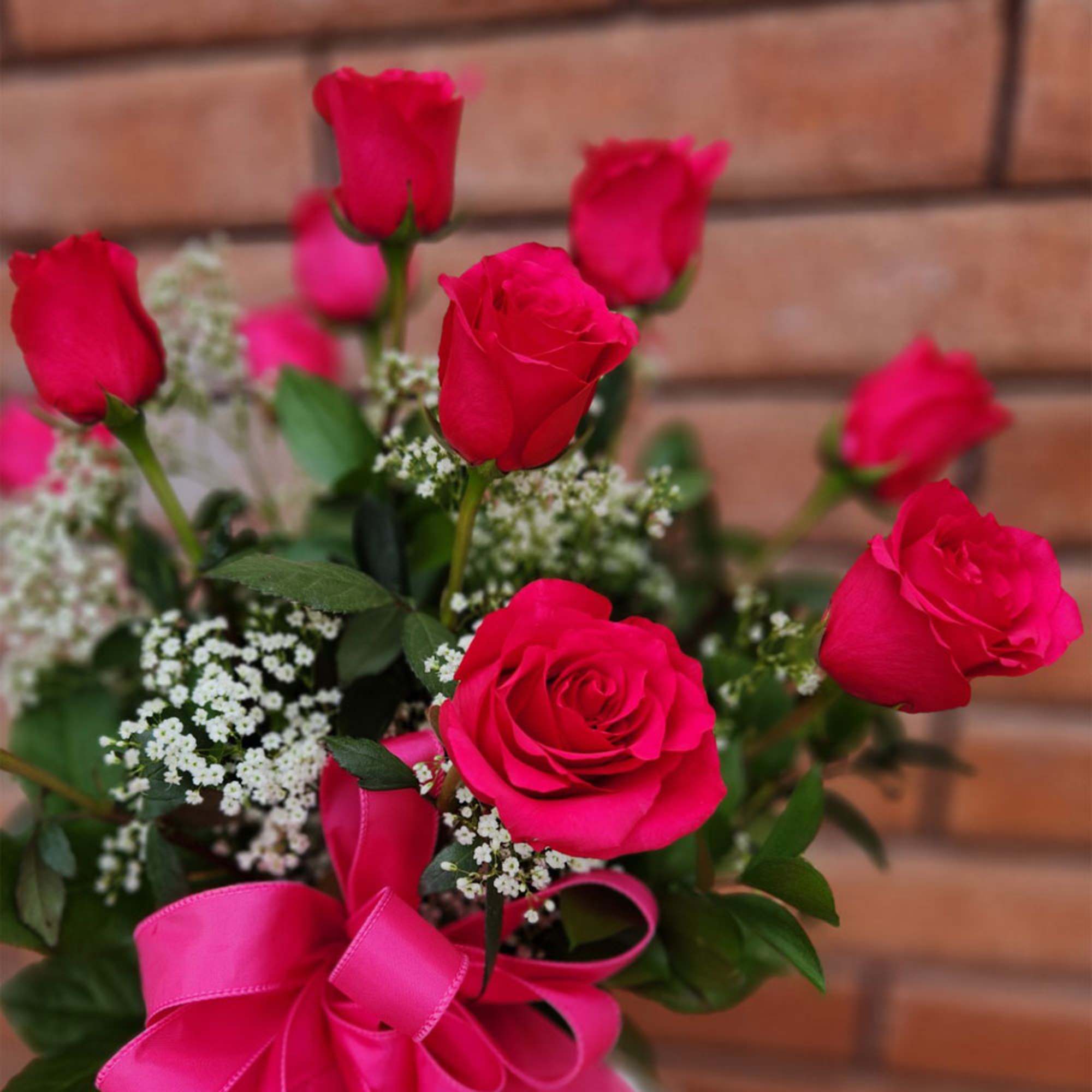 Bouquet of hot pink roses with white filler flowers and a pink ribbon