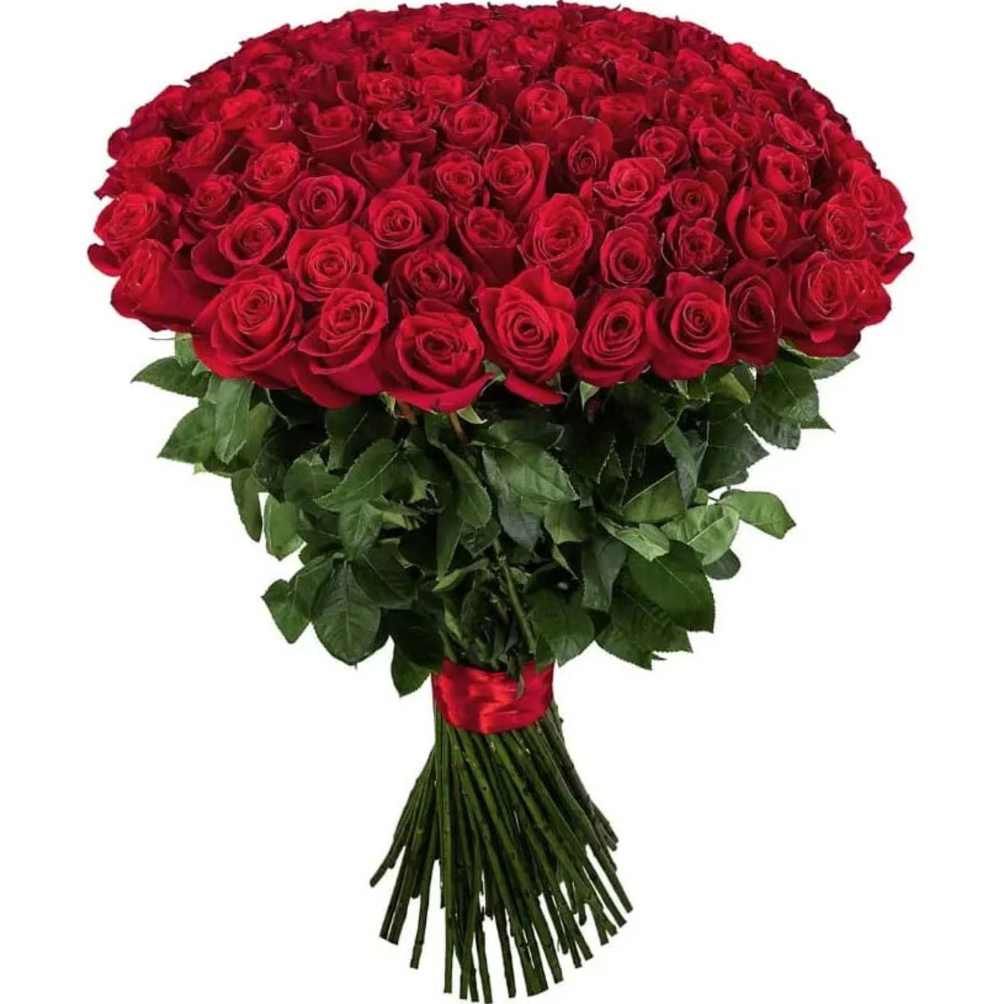 Large bouquet of red roses with a red ribbon wrap