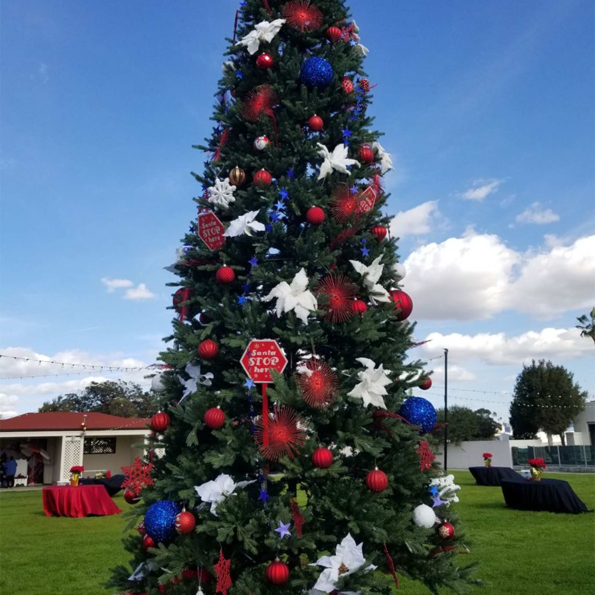 Decorated outdoor Christmas tree with red, white, and blue ornaments
