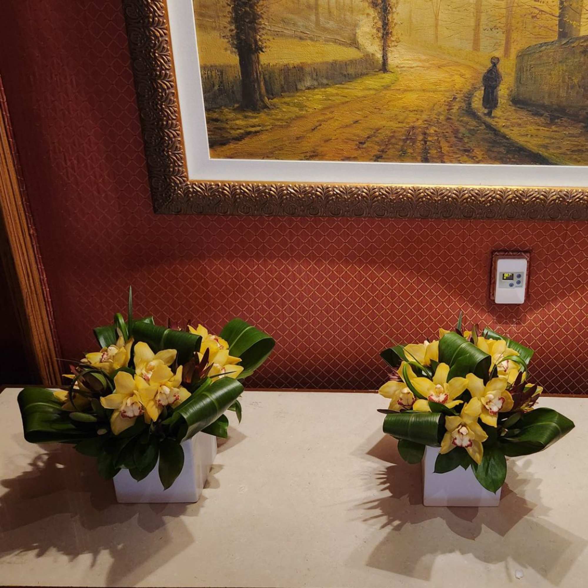 Two yellow orchid arrangements in white square pots