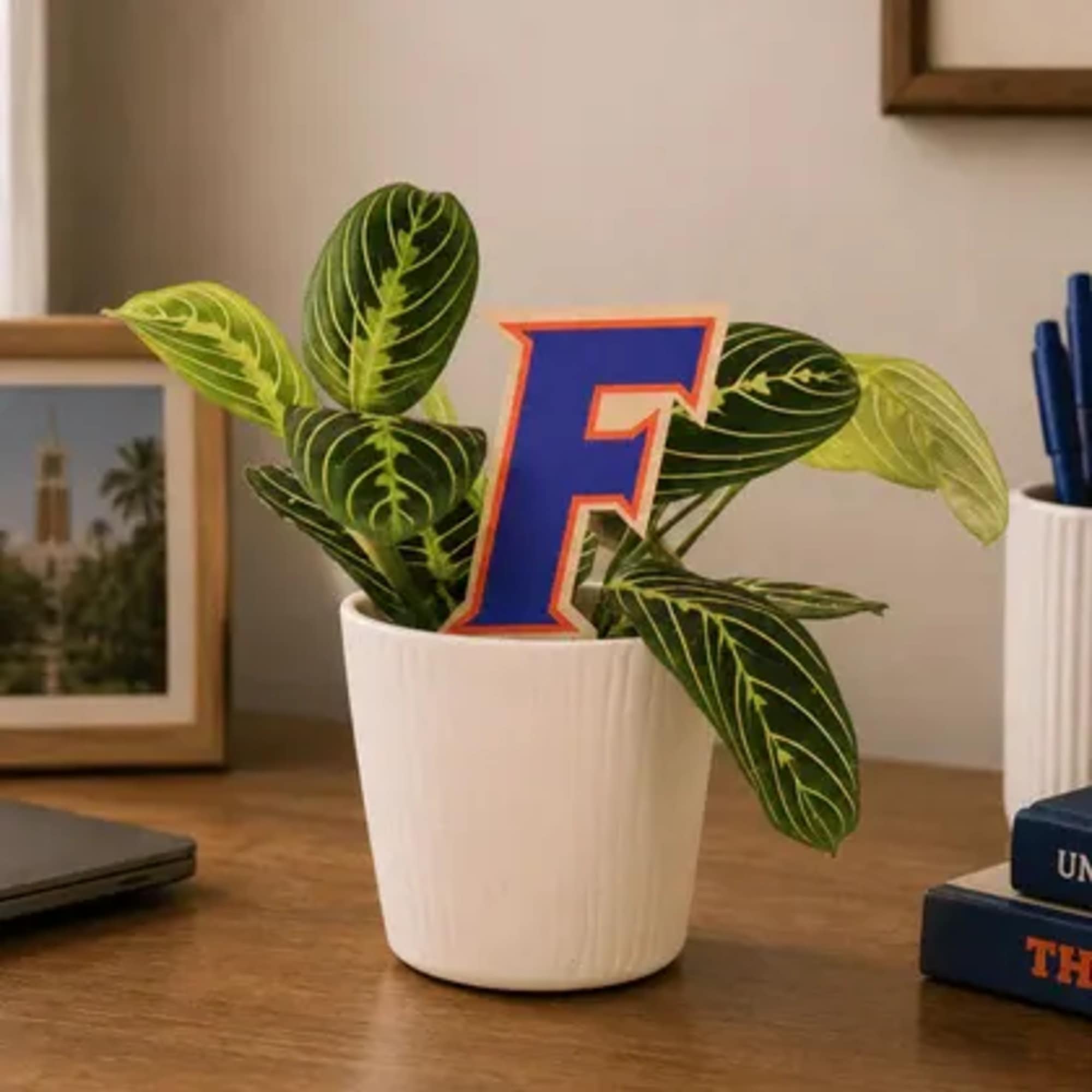 A bold blue and orange collegiate UF Florida F yard stake brings