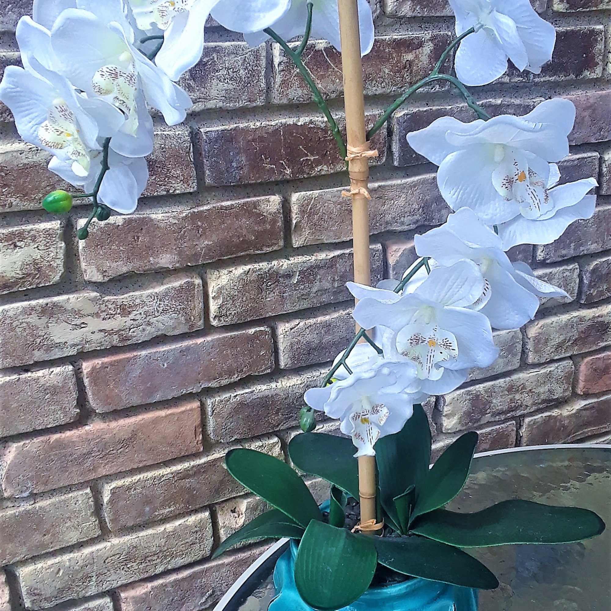 White orchid arrangement in a blue pot with a bamboo stake