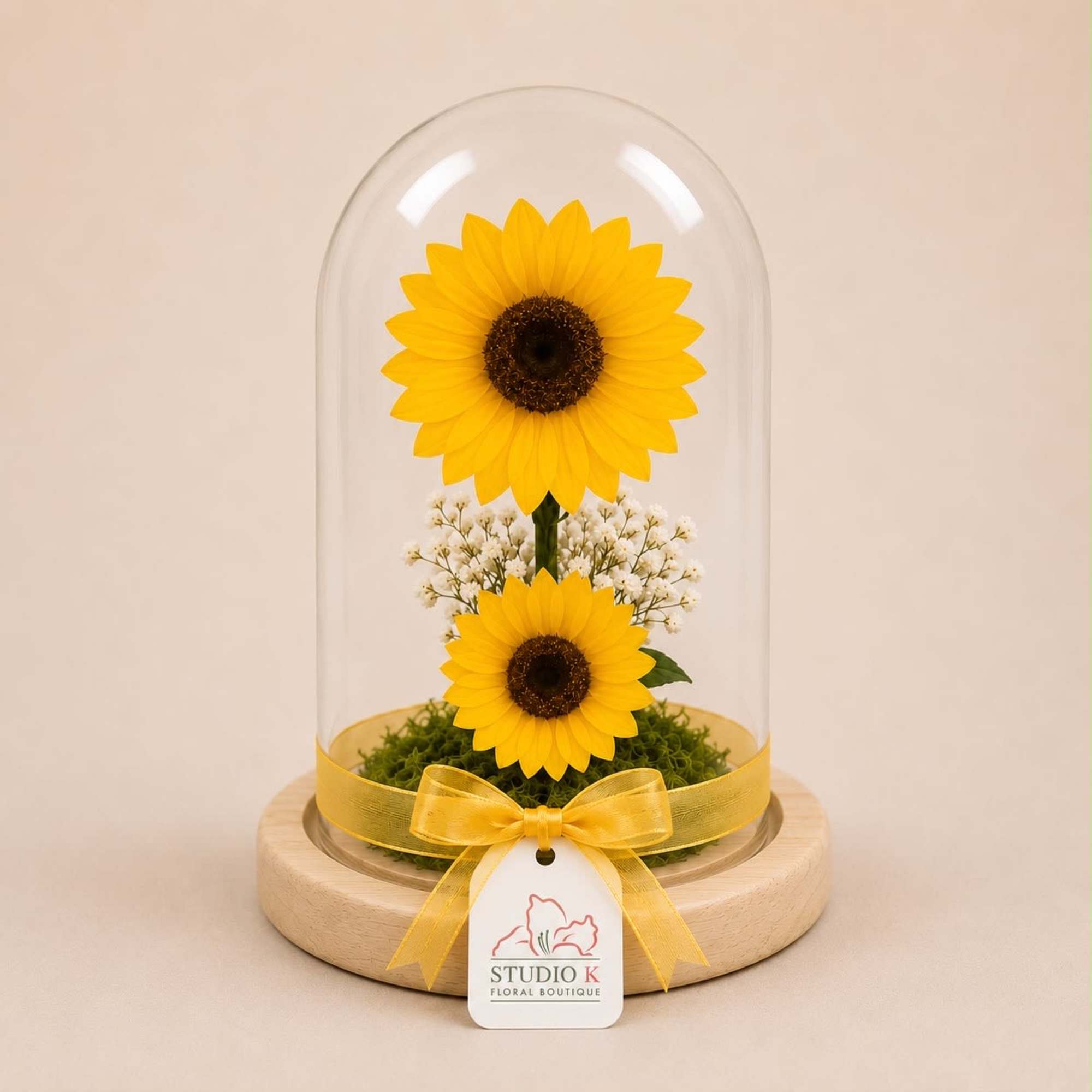 Two real Ecuadorian sunflowers, professionally preserved to maintain their natural beauty for