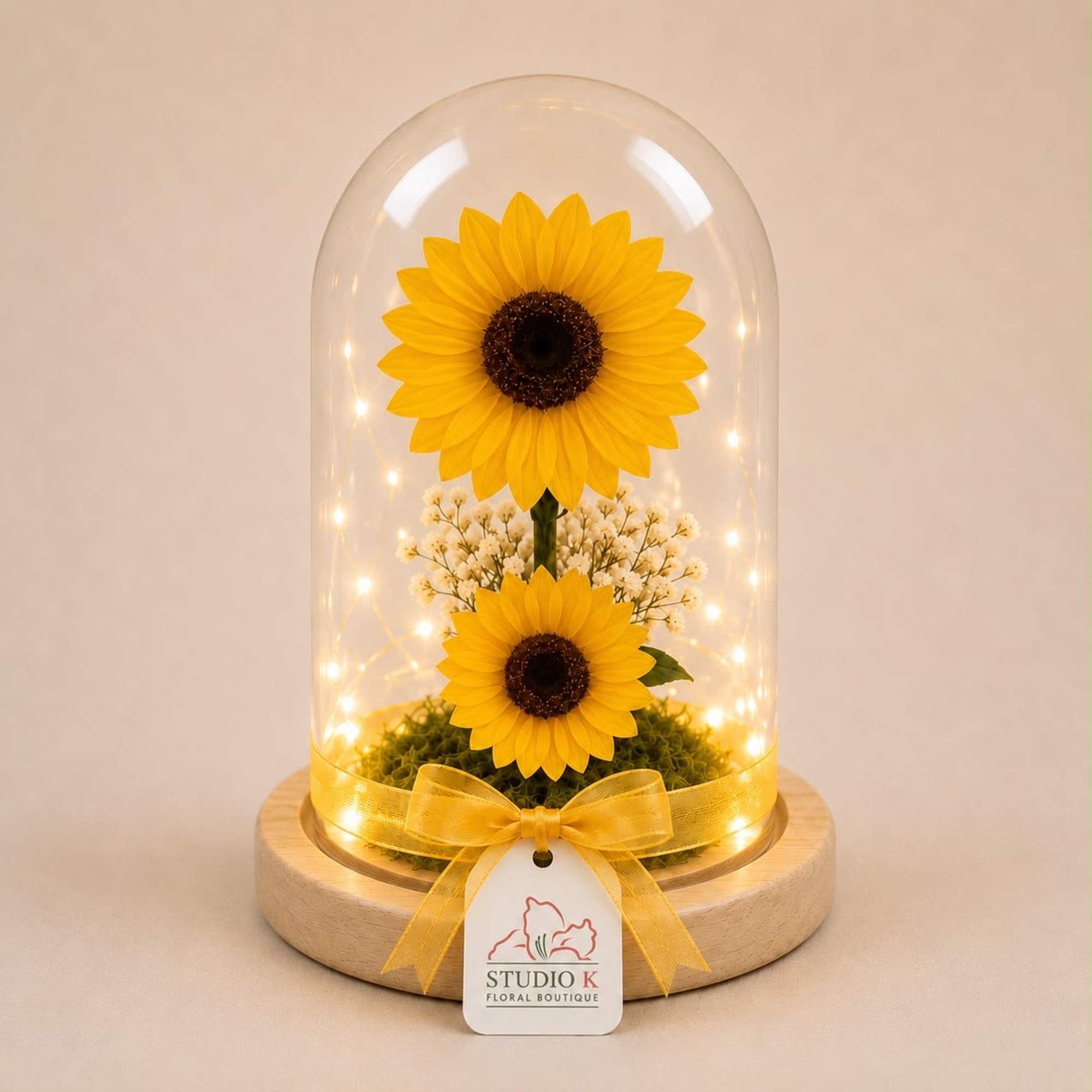 Two real Ecuadorian sunflowers, professionally preserved to maintain their natural beauty for