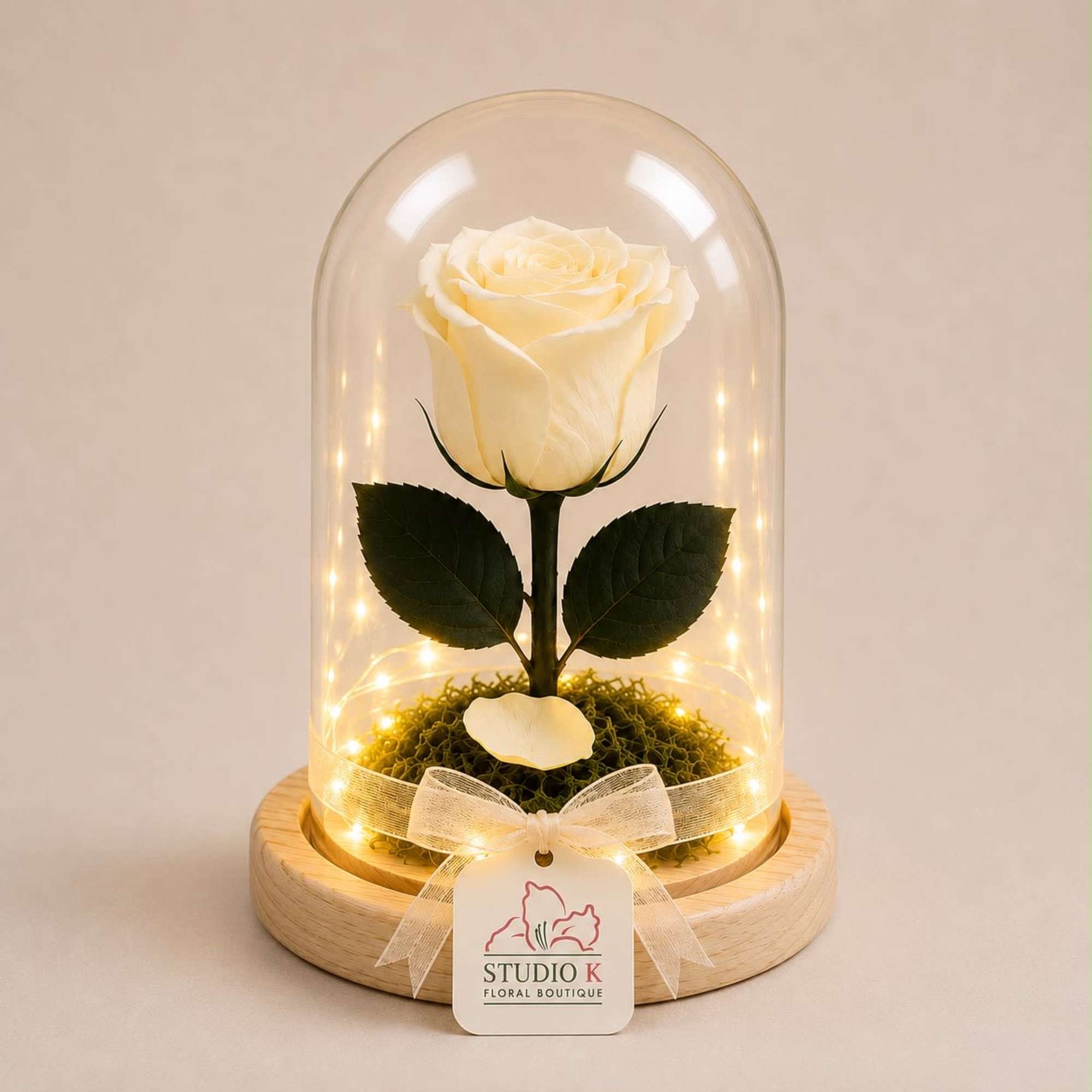 A real Ecuadorian rose, professionally preserved to remain fresh and beautiful for