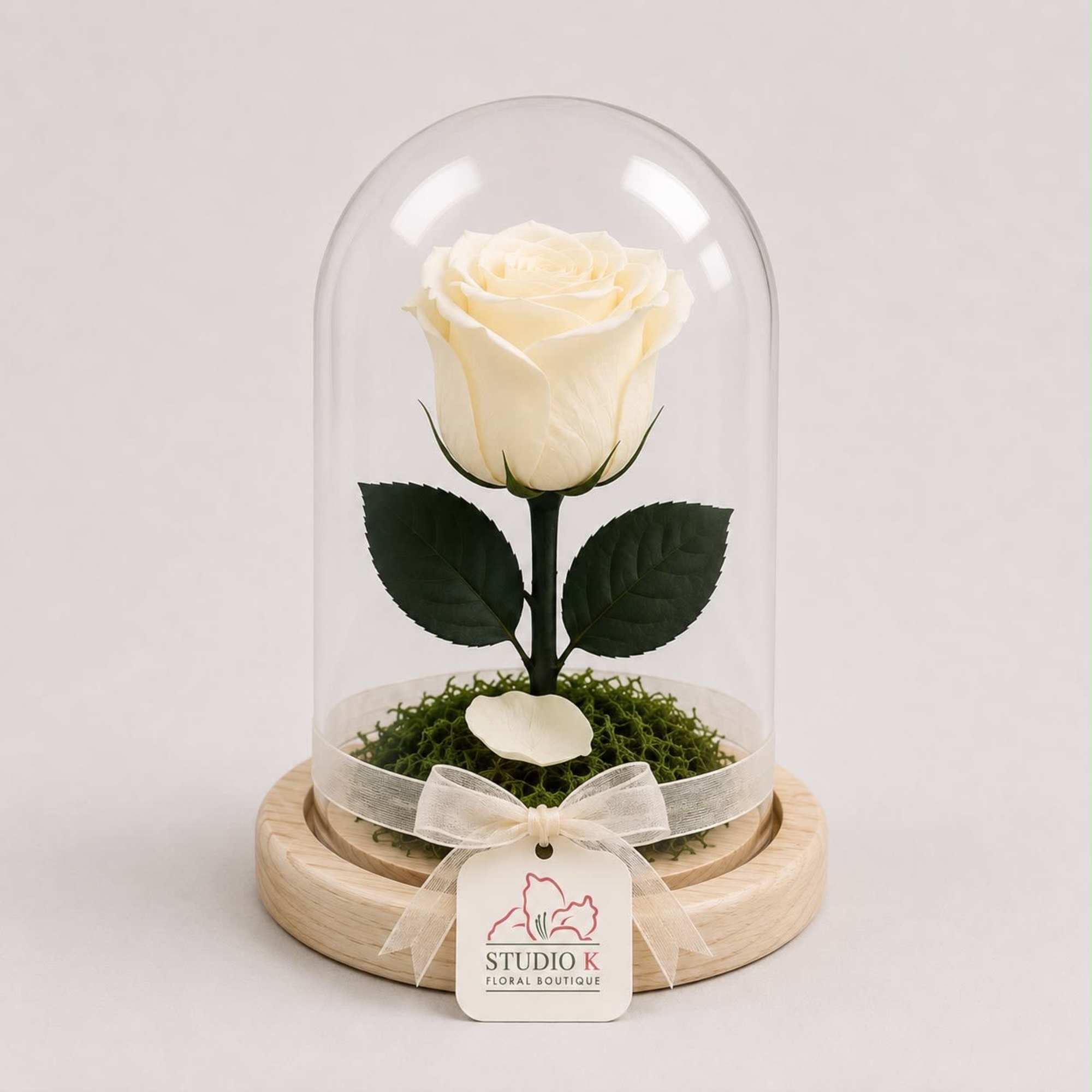A real Ecuadorian rose, professionally preserved to remain fresh and beautiful for