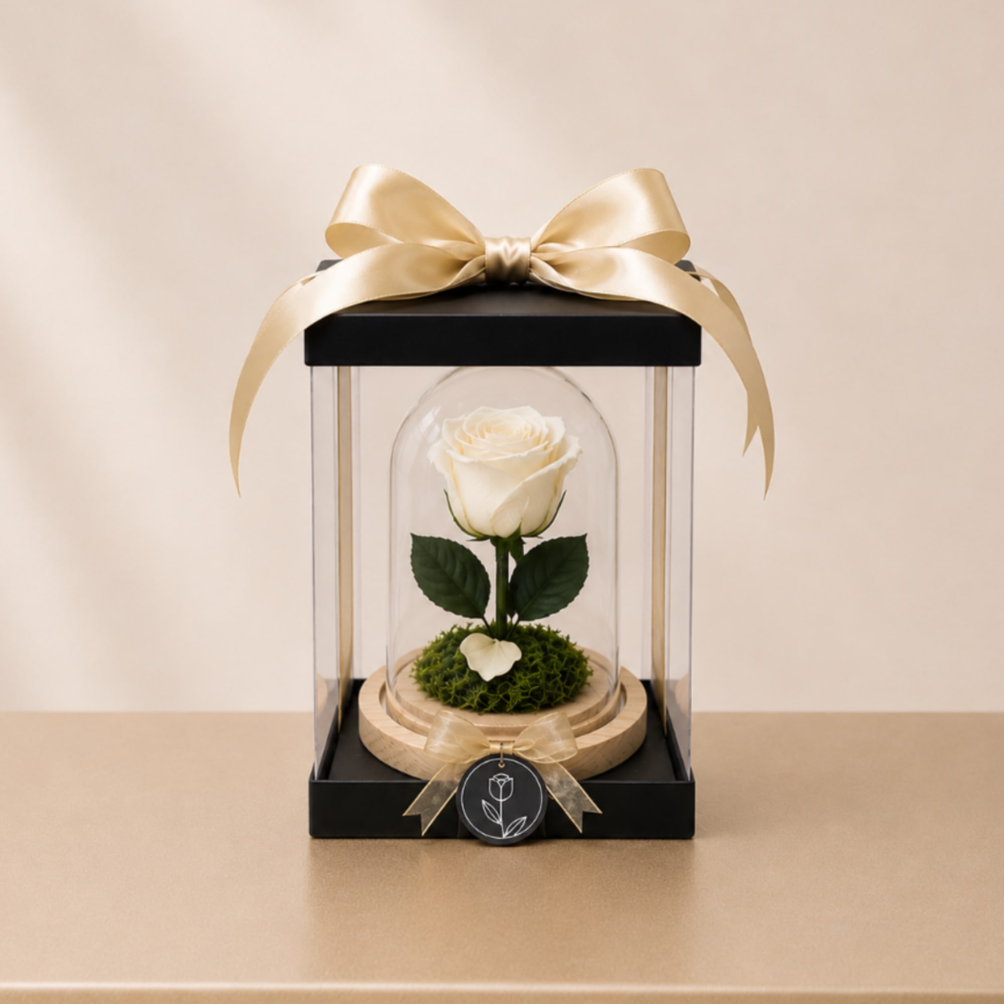 Single white rose under a glass dome with a gold ribbon bow