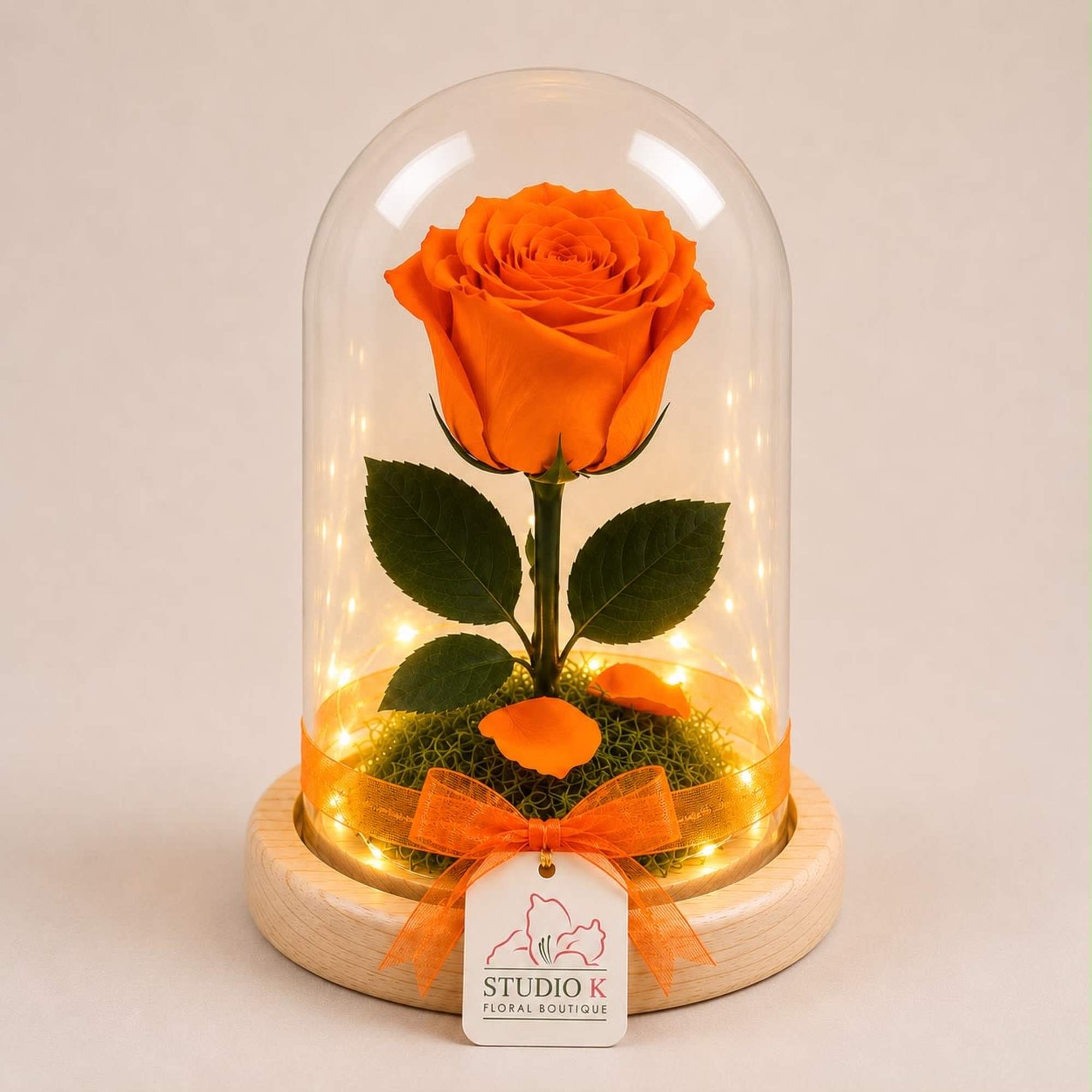 Bright and joyful, this real Ecuadorian rose in a vivid orange hue