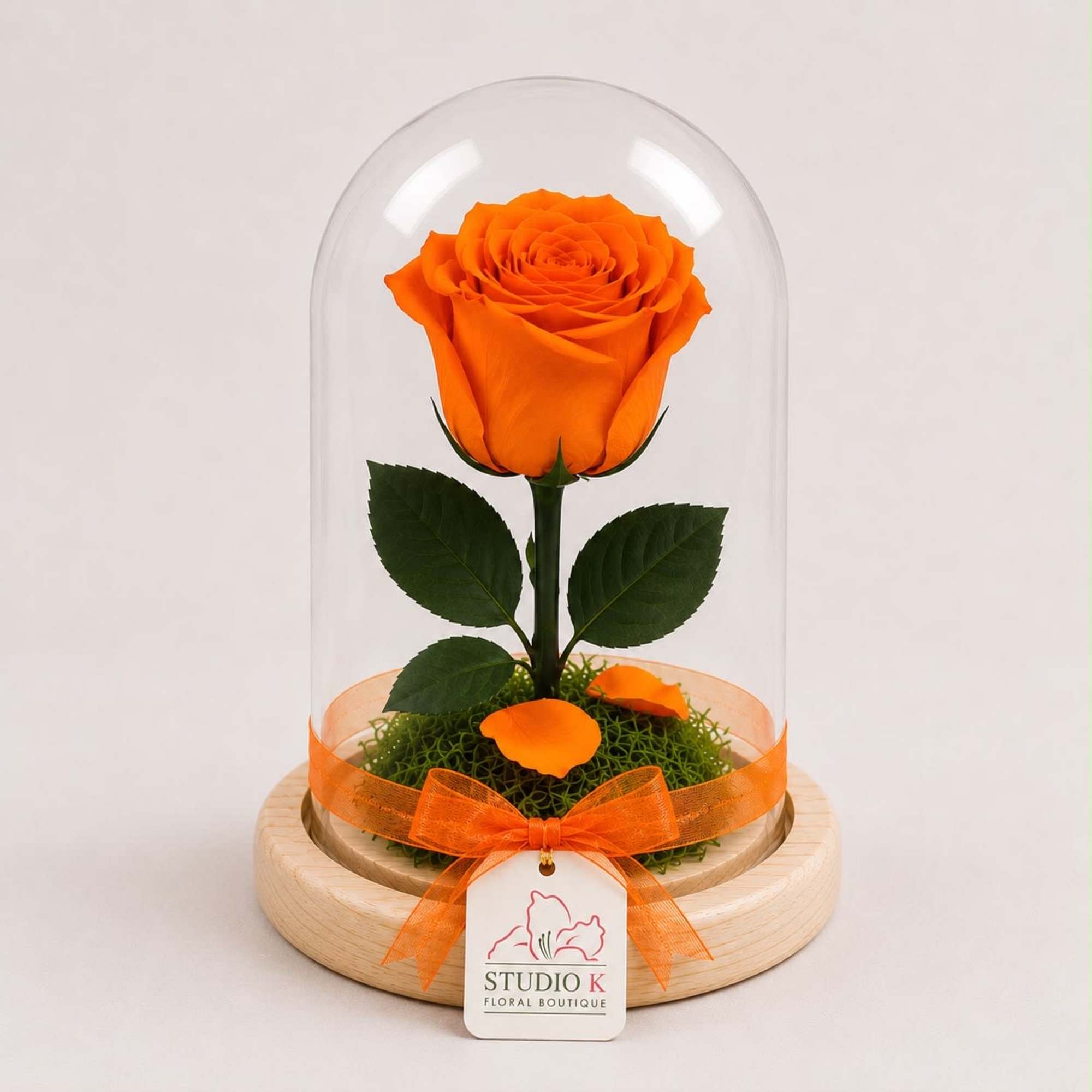 Bright and joyful, this real Ecuadorian rose in a vivid orange hue