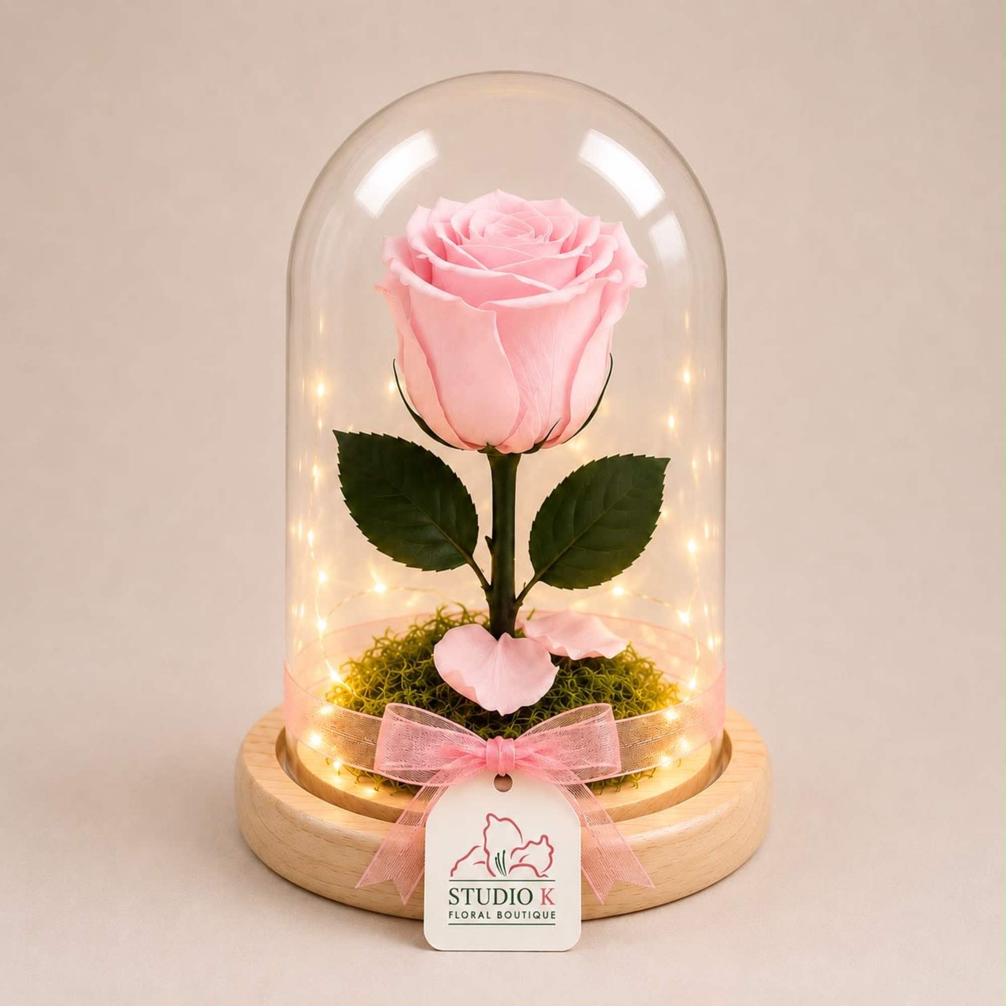 A real Ecuadorian rose, professionally preserved to remain fresh and beautiful for