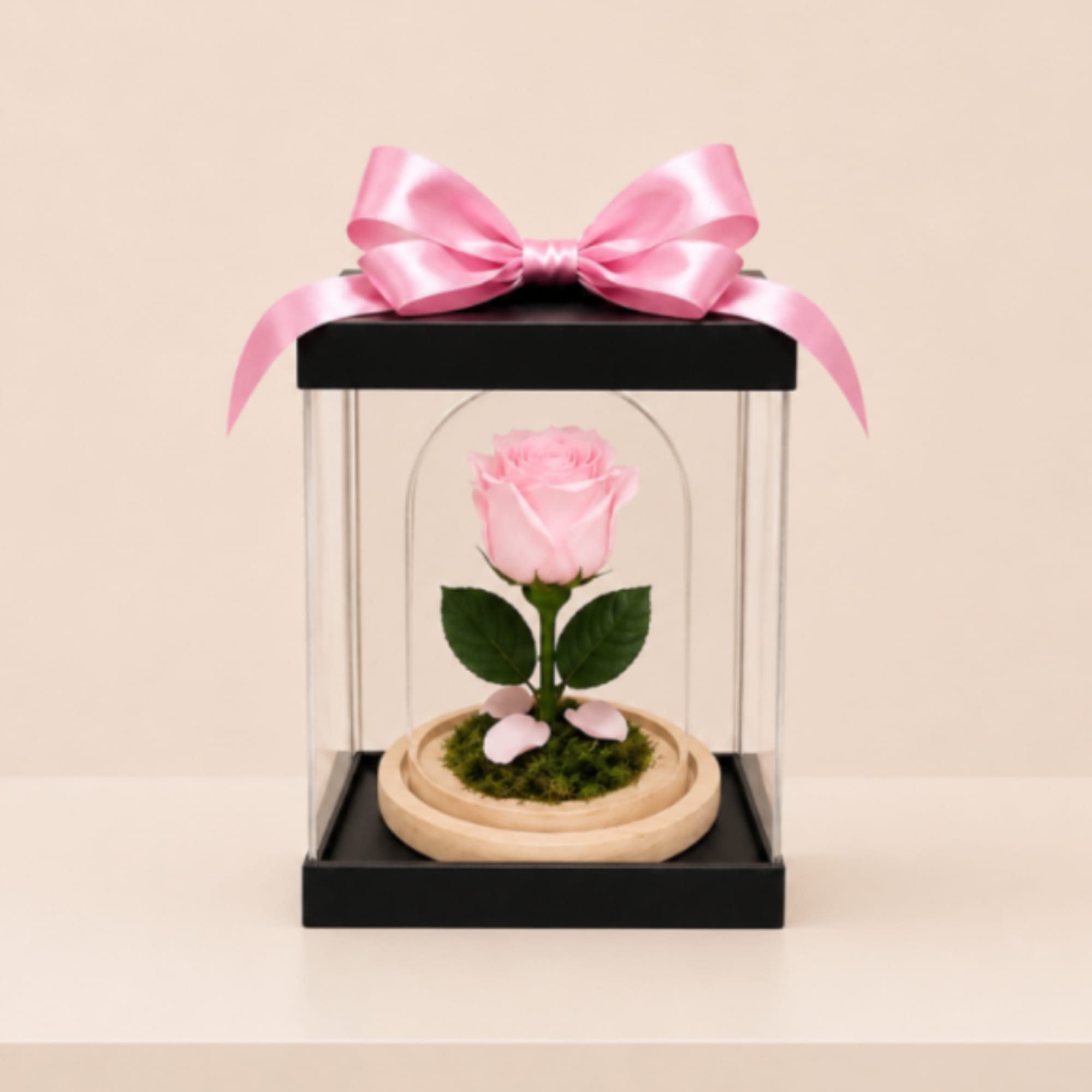A real Ecuadorian rose, professionally preserved to remain fresh and beautiful for