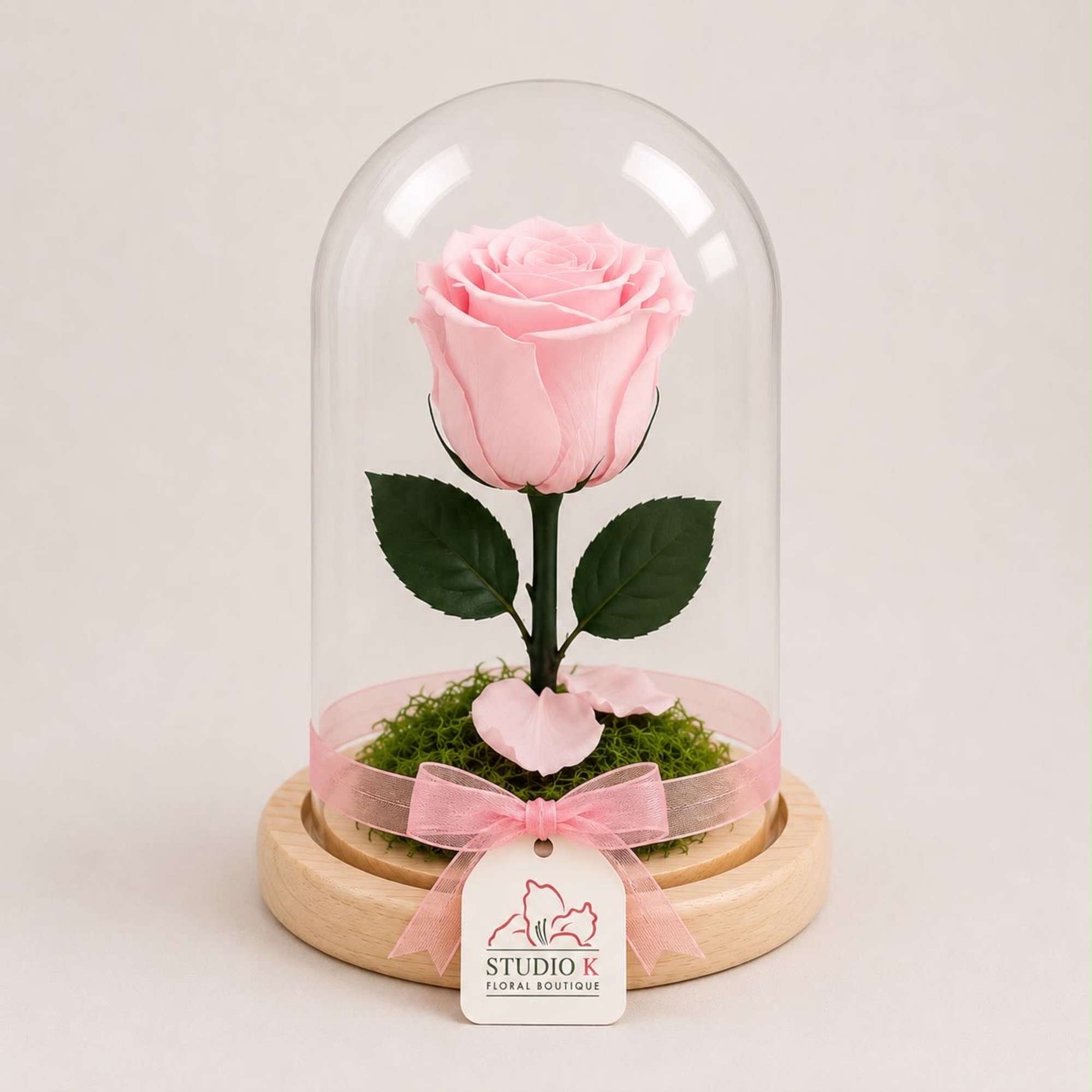 A real Ecuadorian rose, professionally preserved to remain fresh and beautiful for