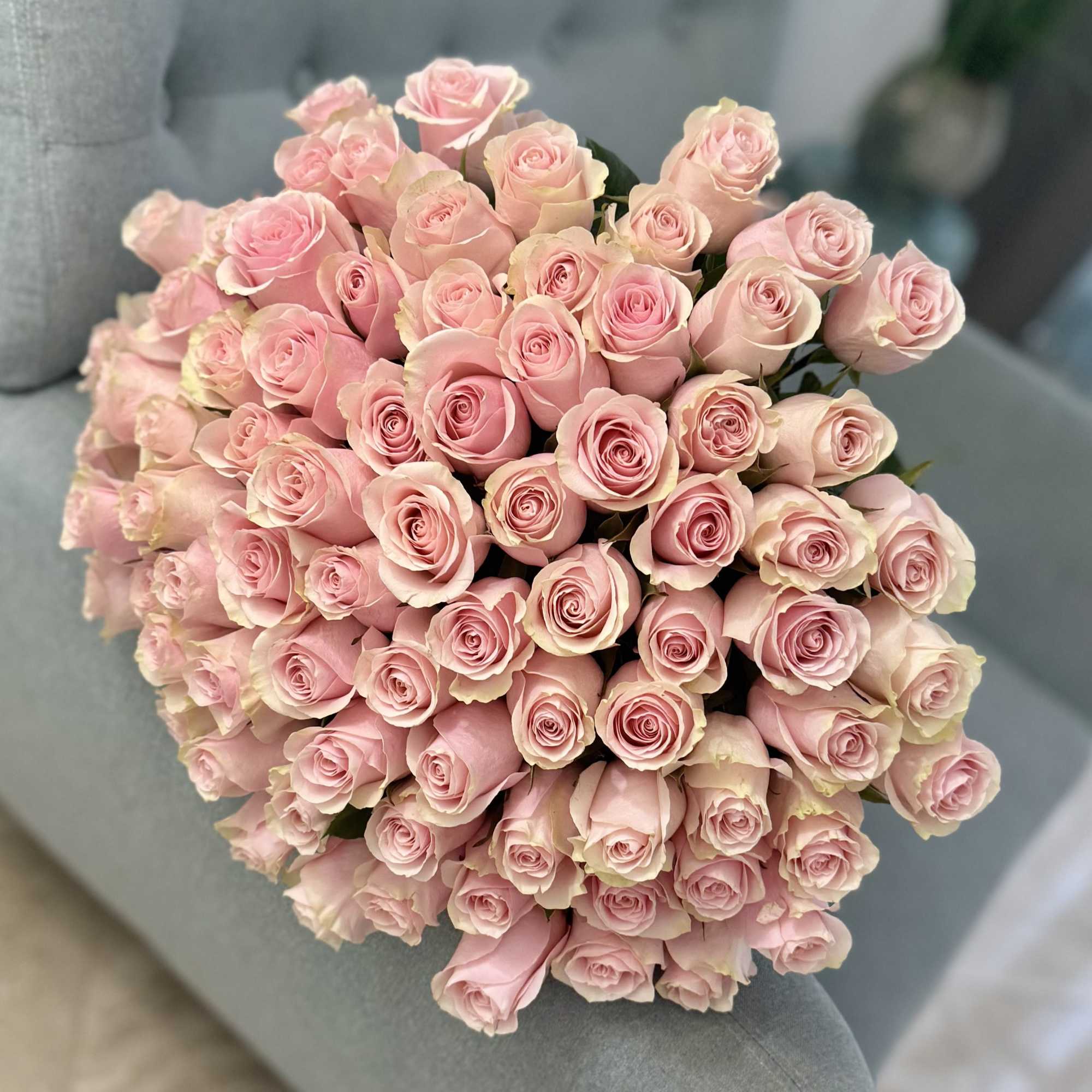 A lush dome of pale pink roses-each bloom graduating from soft blush