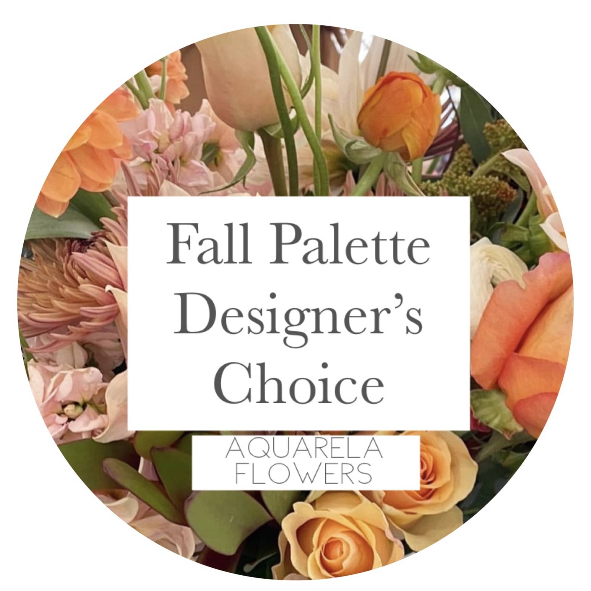 Let us curate a fresh fall palette for you, featuring premium, one-of-a-kind