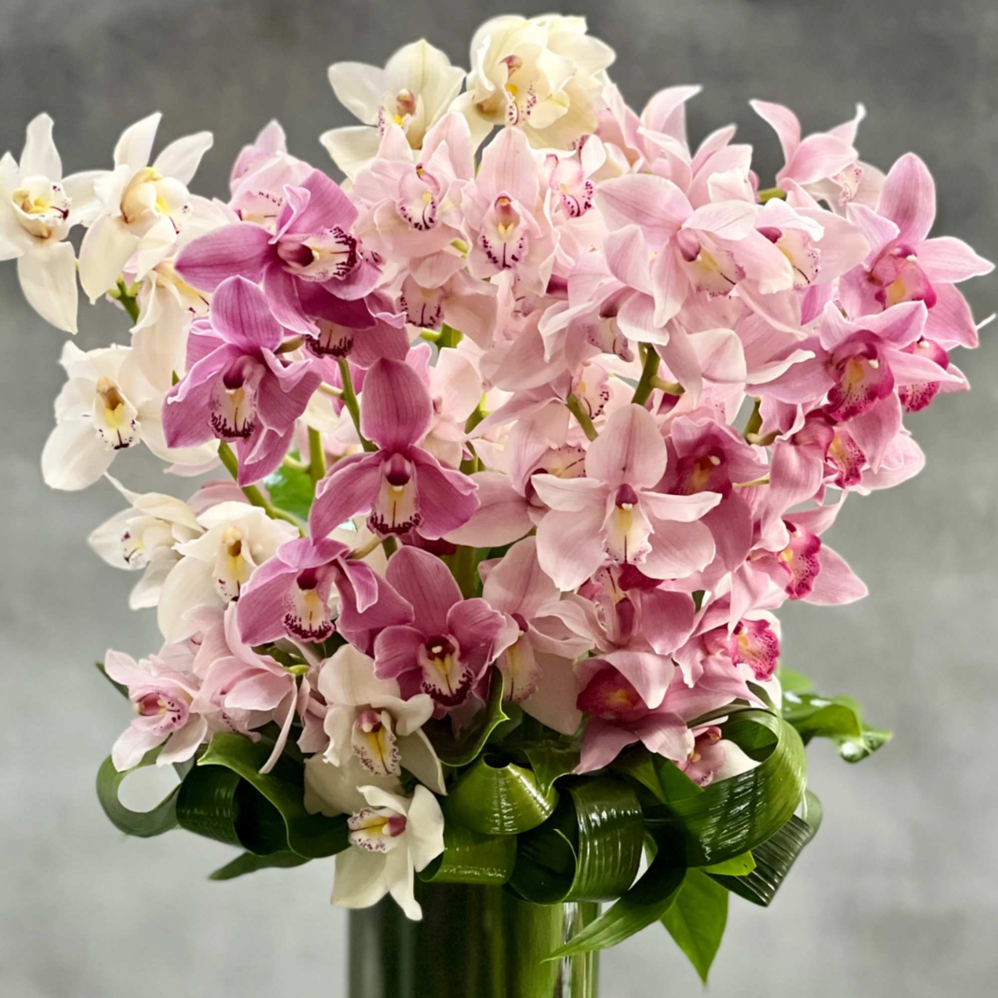 Tall arrangement of pink and white cymbidium orchids in a green glass vase with looped foliage