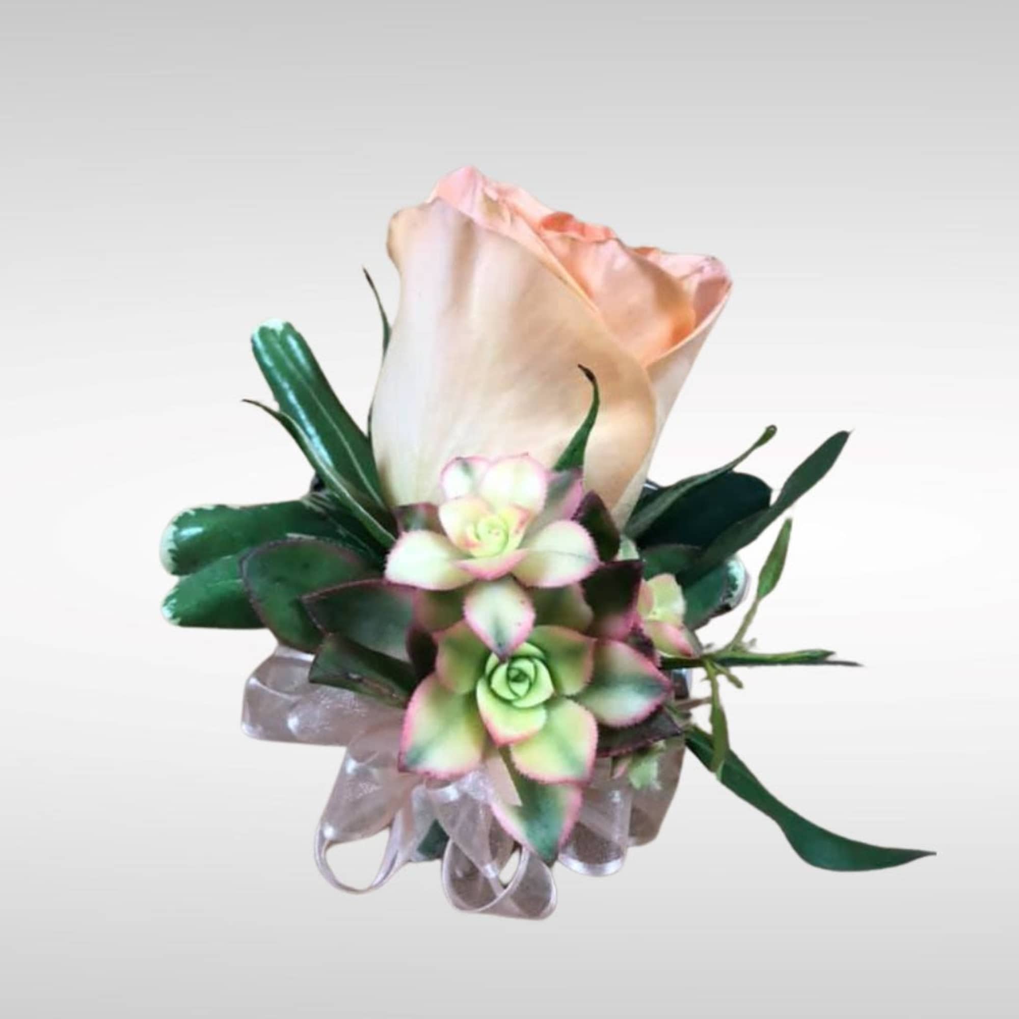 Small peach rose and succulent corsage with greenery and a sheer ribbon bow