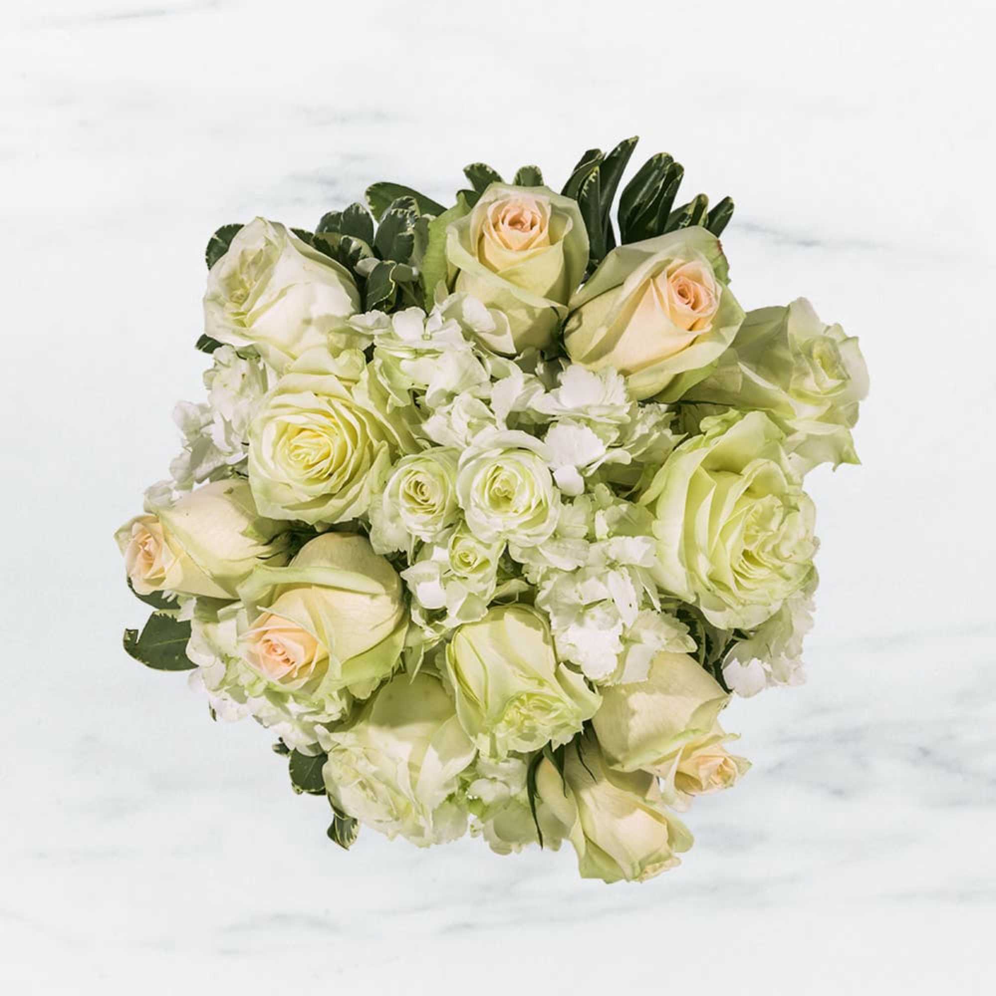 Bouquet of pale green and cream roses with white filler flowers