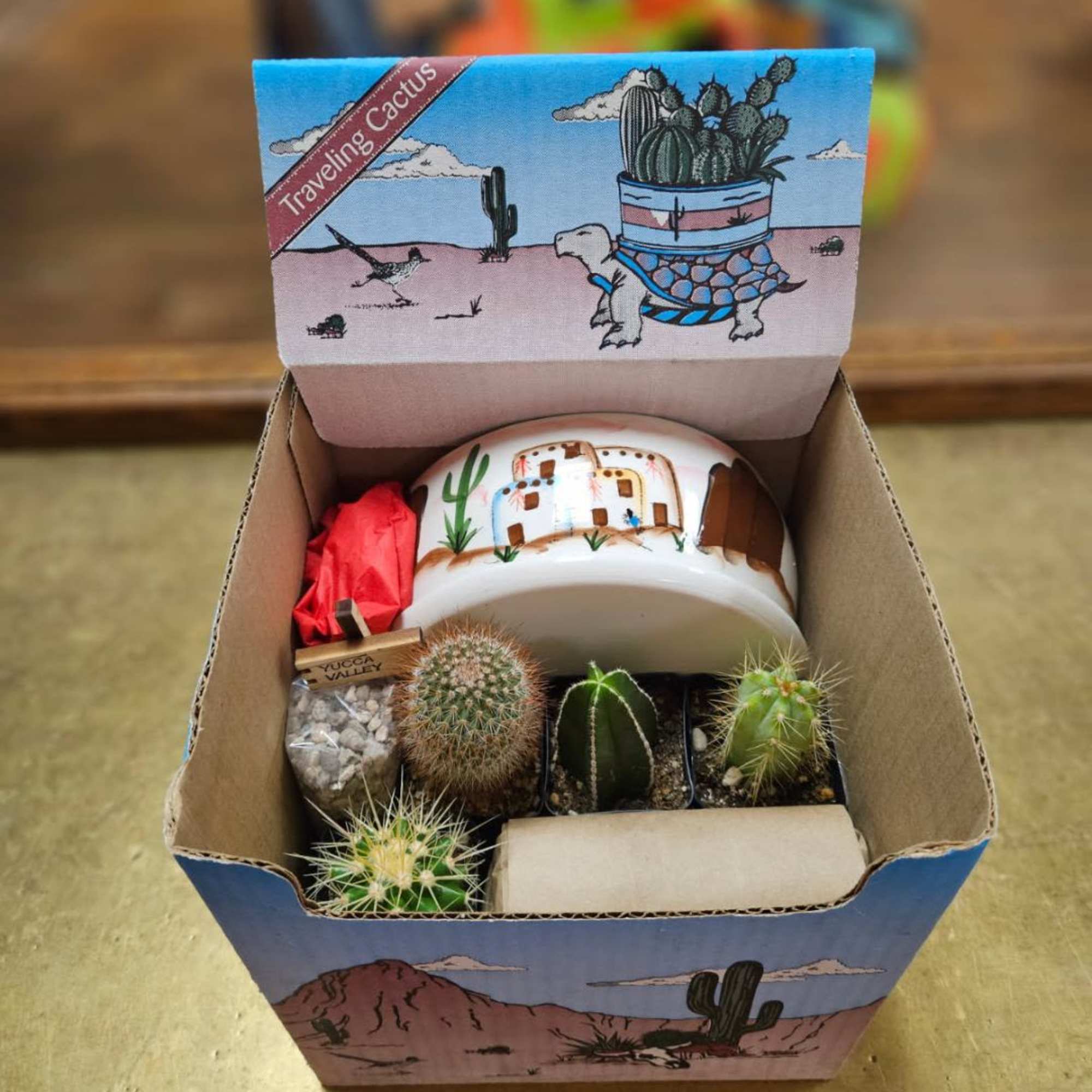 Traveling cactus kit - the fun is in assembling! Comes with pot