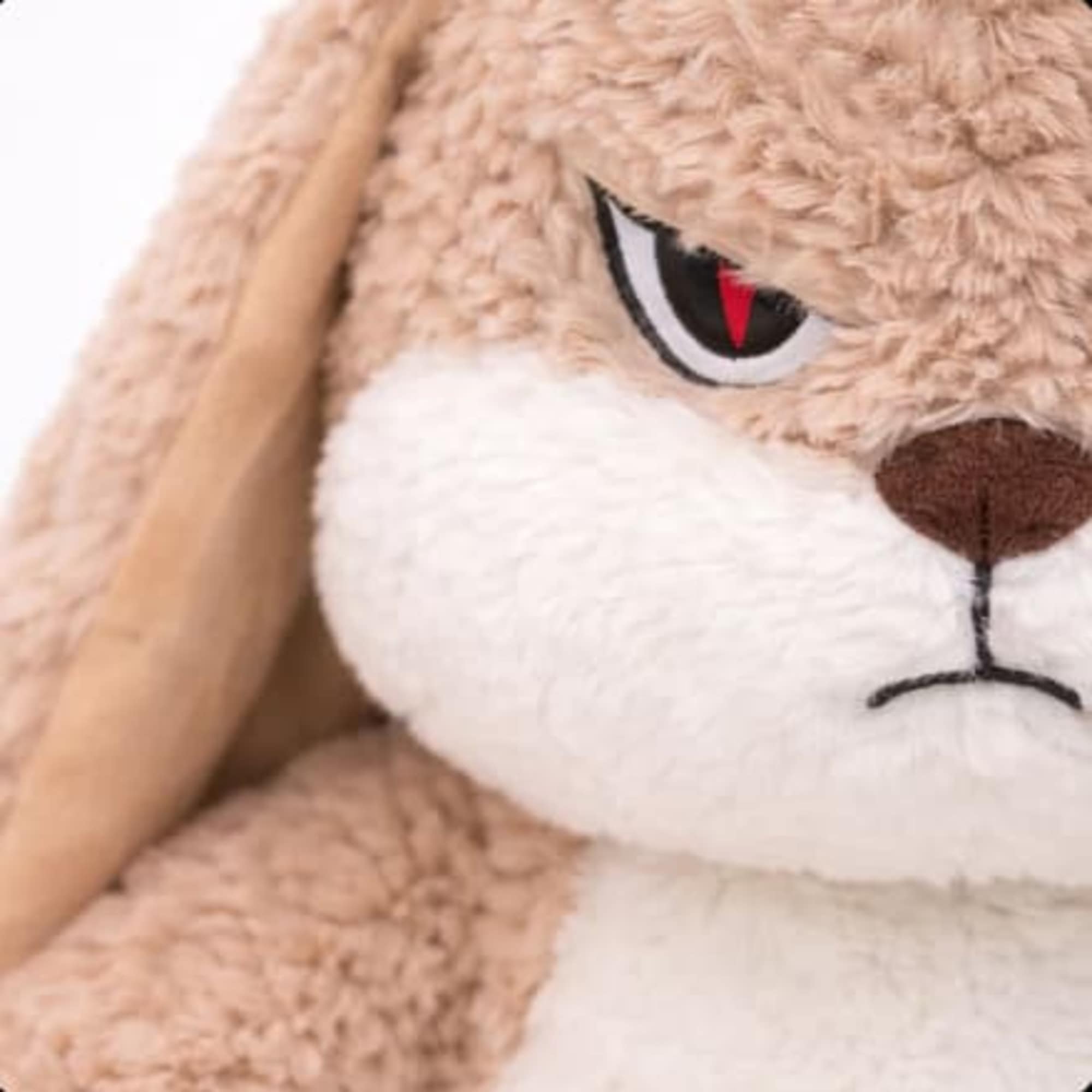 Close-up of a beige plush bunny with floppy ears