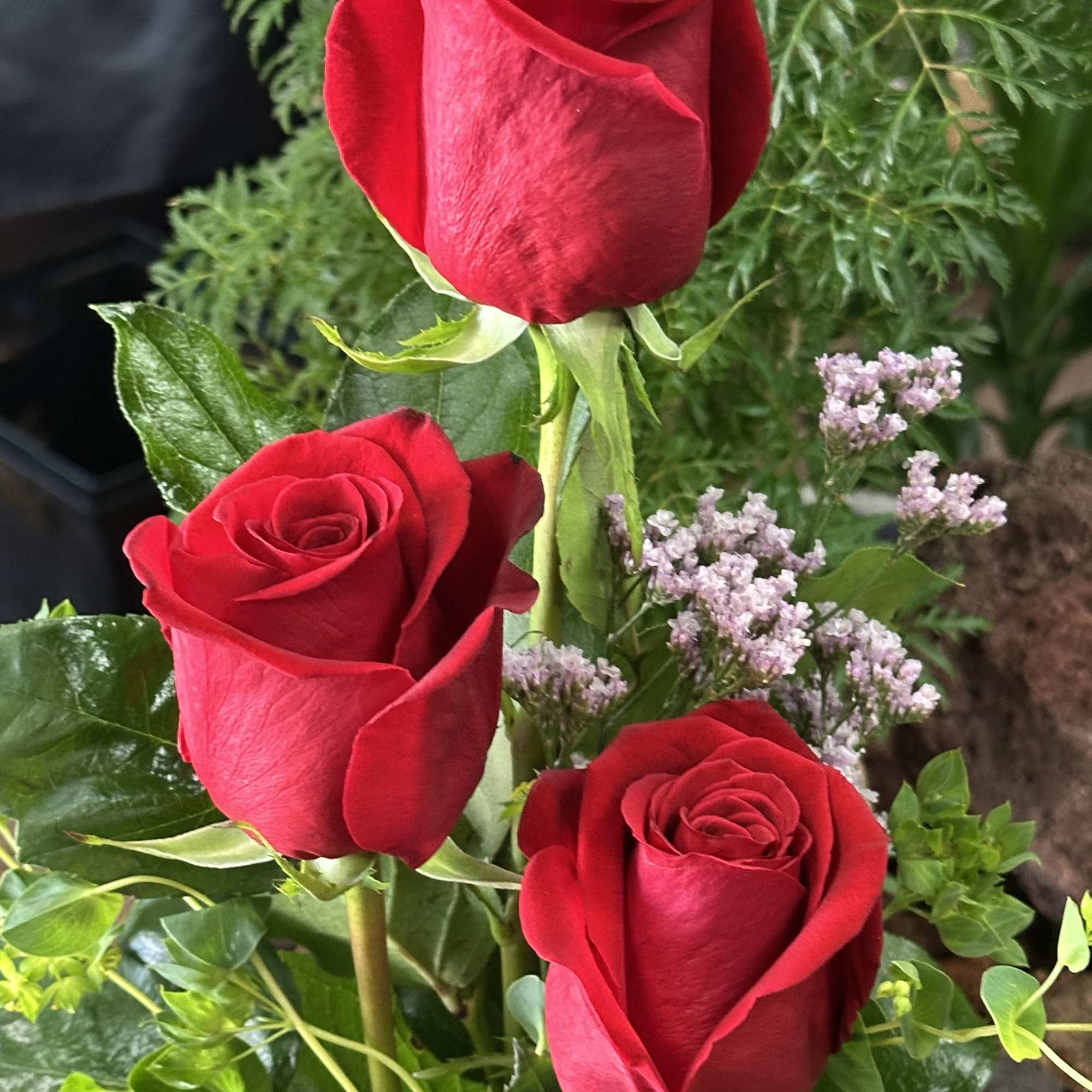 Three red roses with small purple filler flowers and greenery