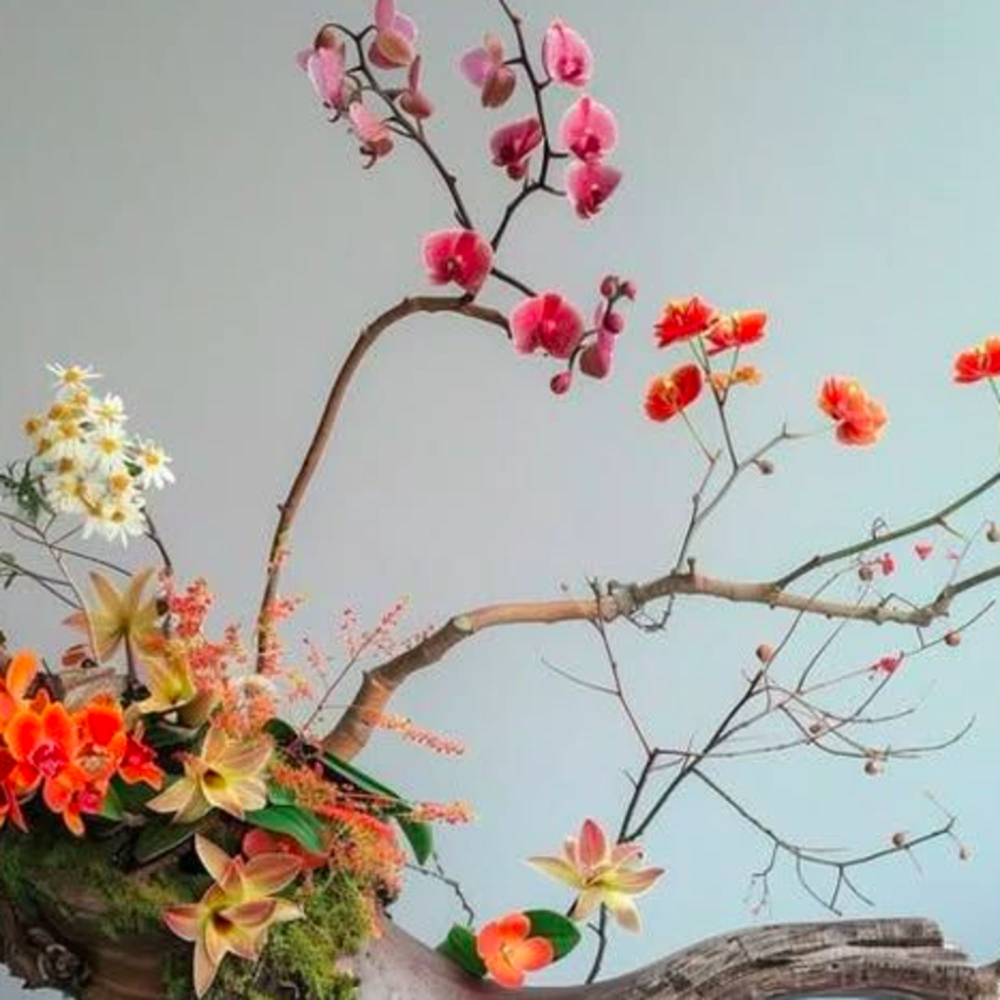 Floral arrangement with pink and orange blossoms on branching stems in a rustic base