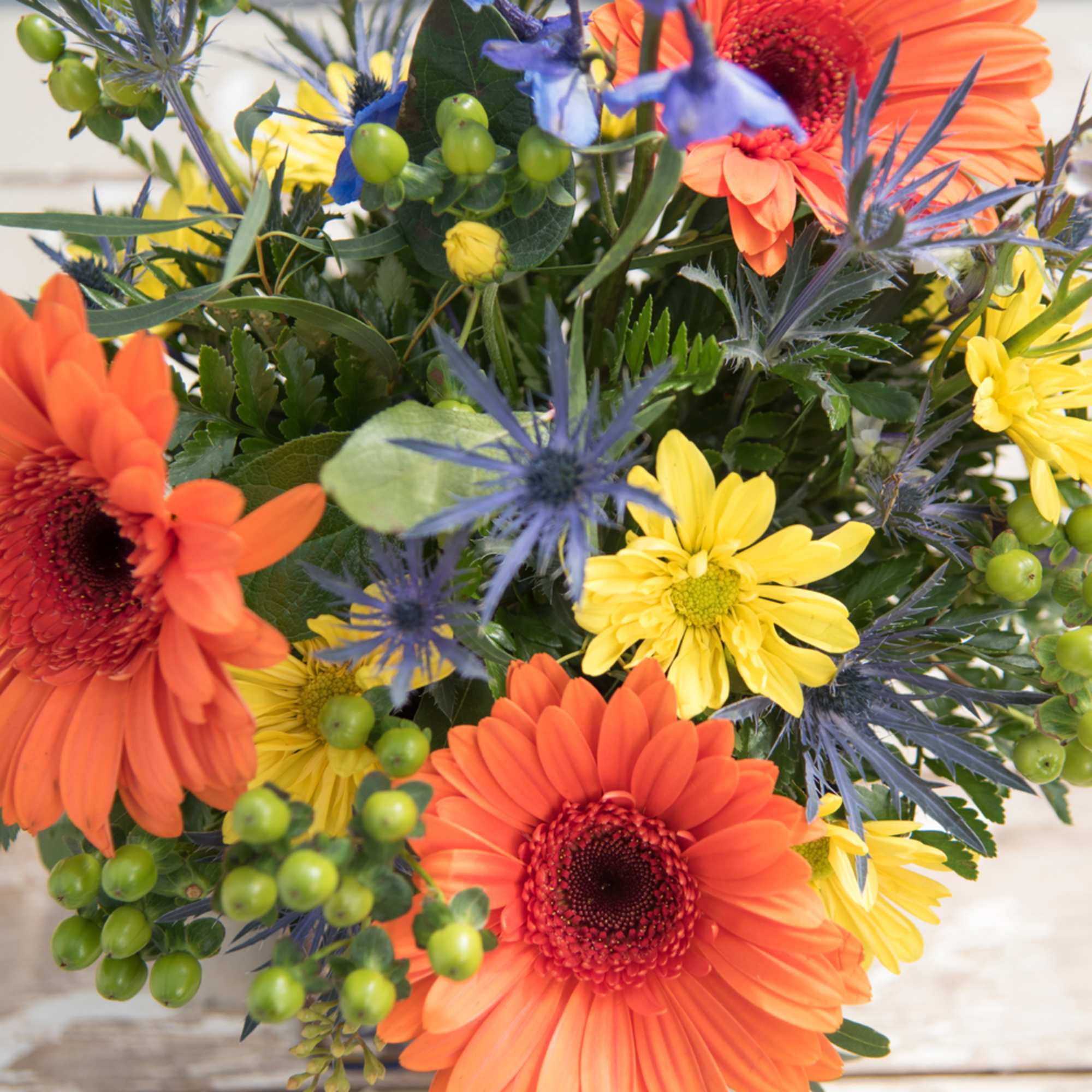 Bouquet of orange and yellow daisies with blue thistle-like flowers