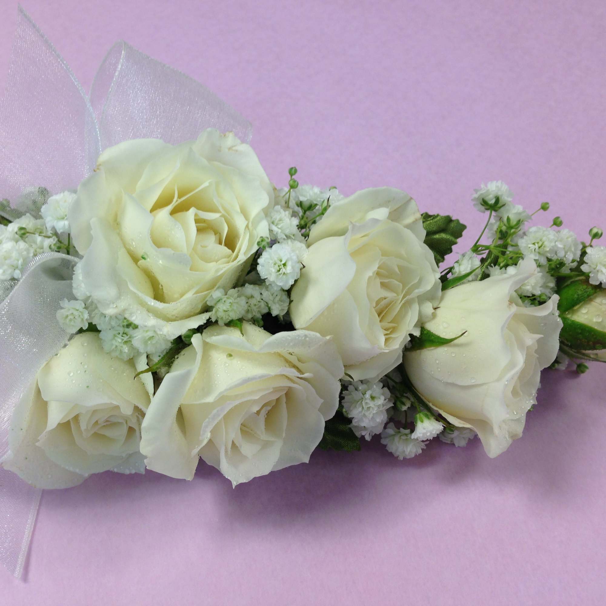 White rose corsage with a sheer ribbon on a pink background