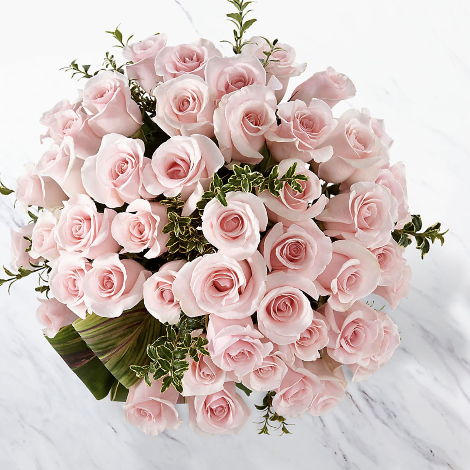 Bouquet of pale pink roses with small greenery accents