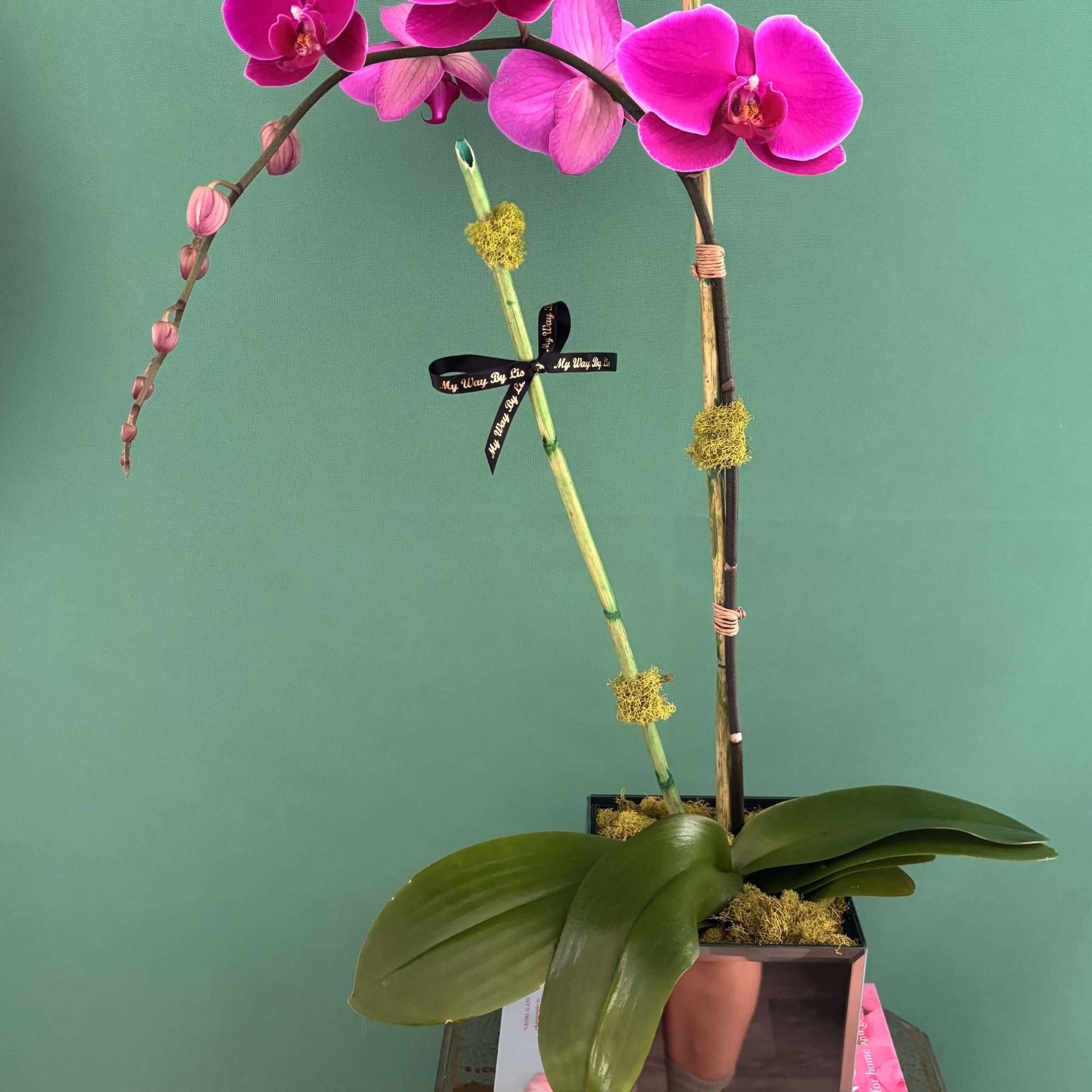 Nice and beautiful purple orchid for any occasion!