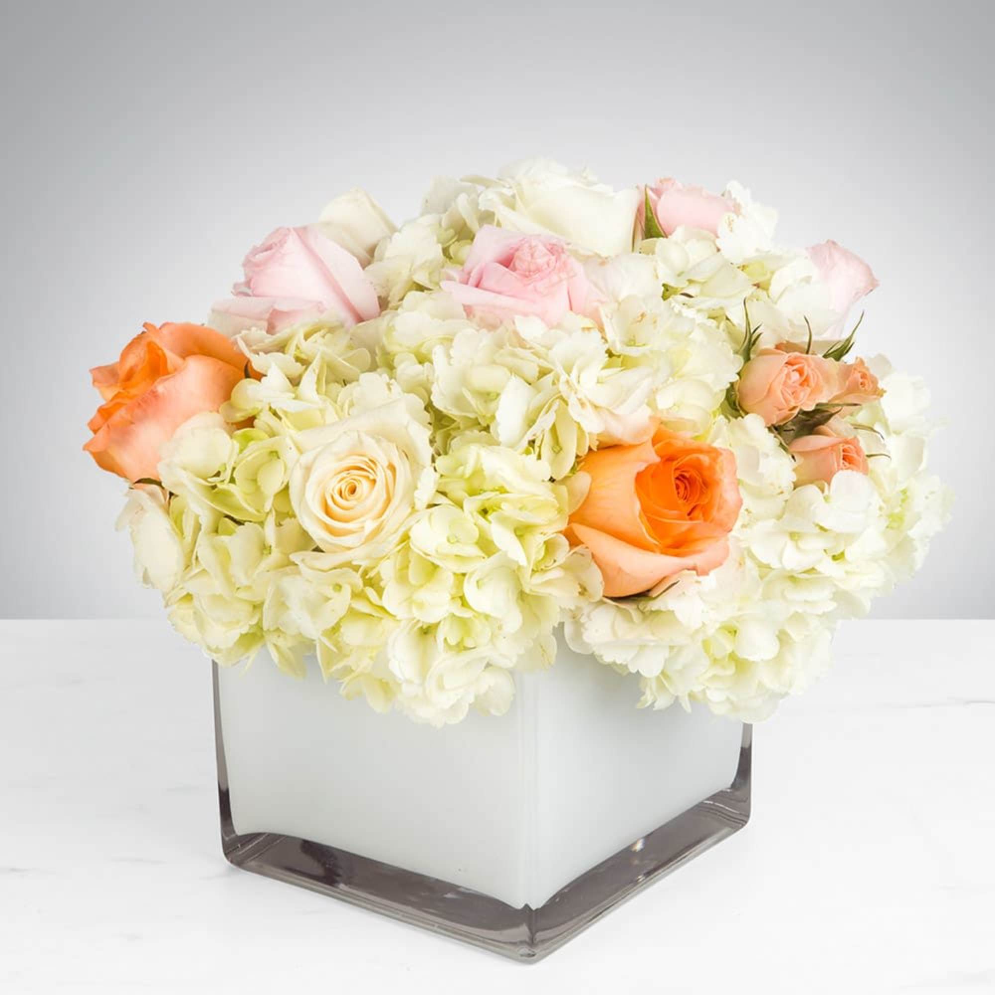Pink and peach roses in a white square vase with white hydrangeas