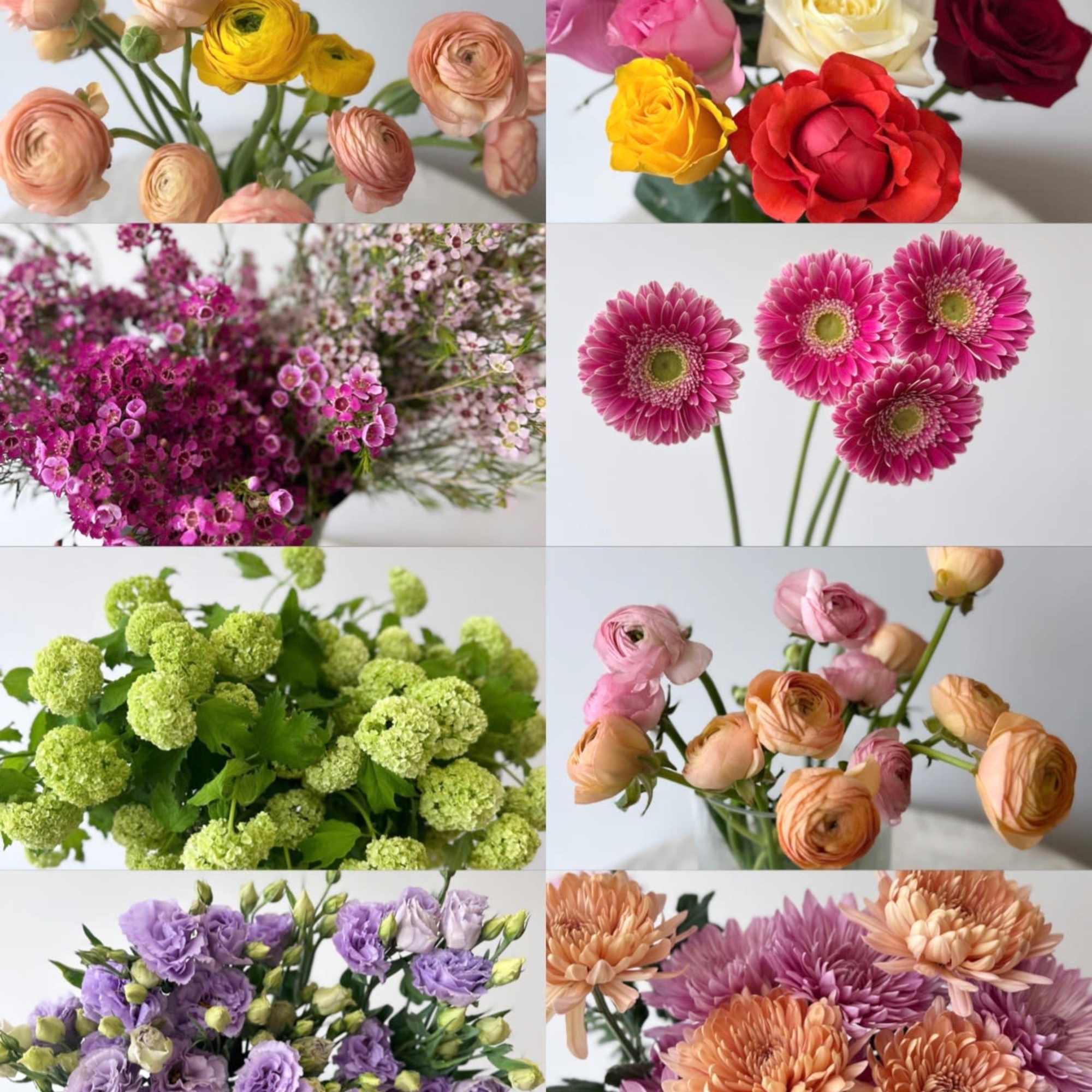 Collection of colorful flower bunches including roses, ranunculus, gerbera daisies, lisianthus, and mums.