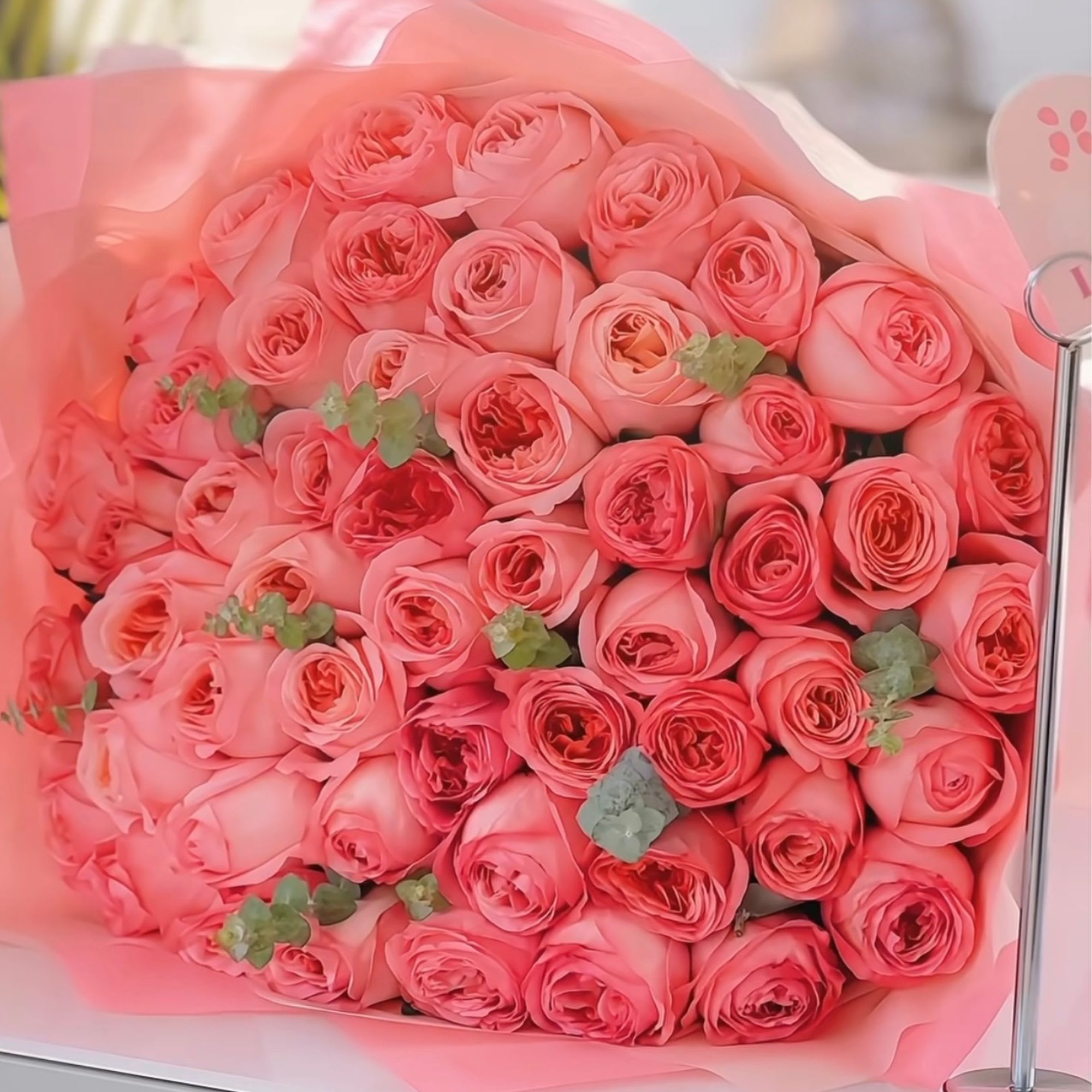 Bouquet of pink roses wrapped in pink paper